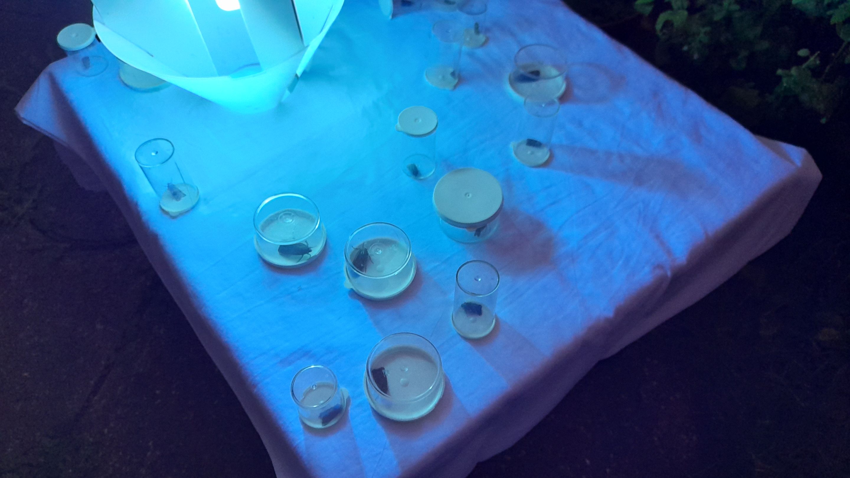 20250927_063232.jpg