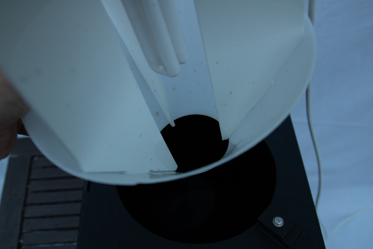 Moth Trap article 30jun208862.jpg
