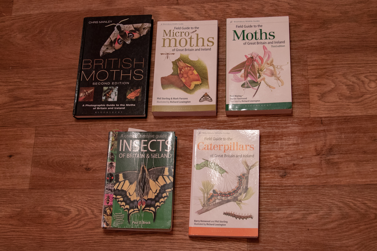 Moth Trap article 30jun208869.jpg
