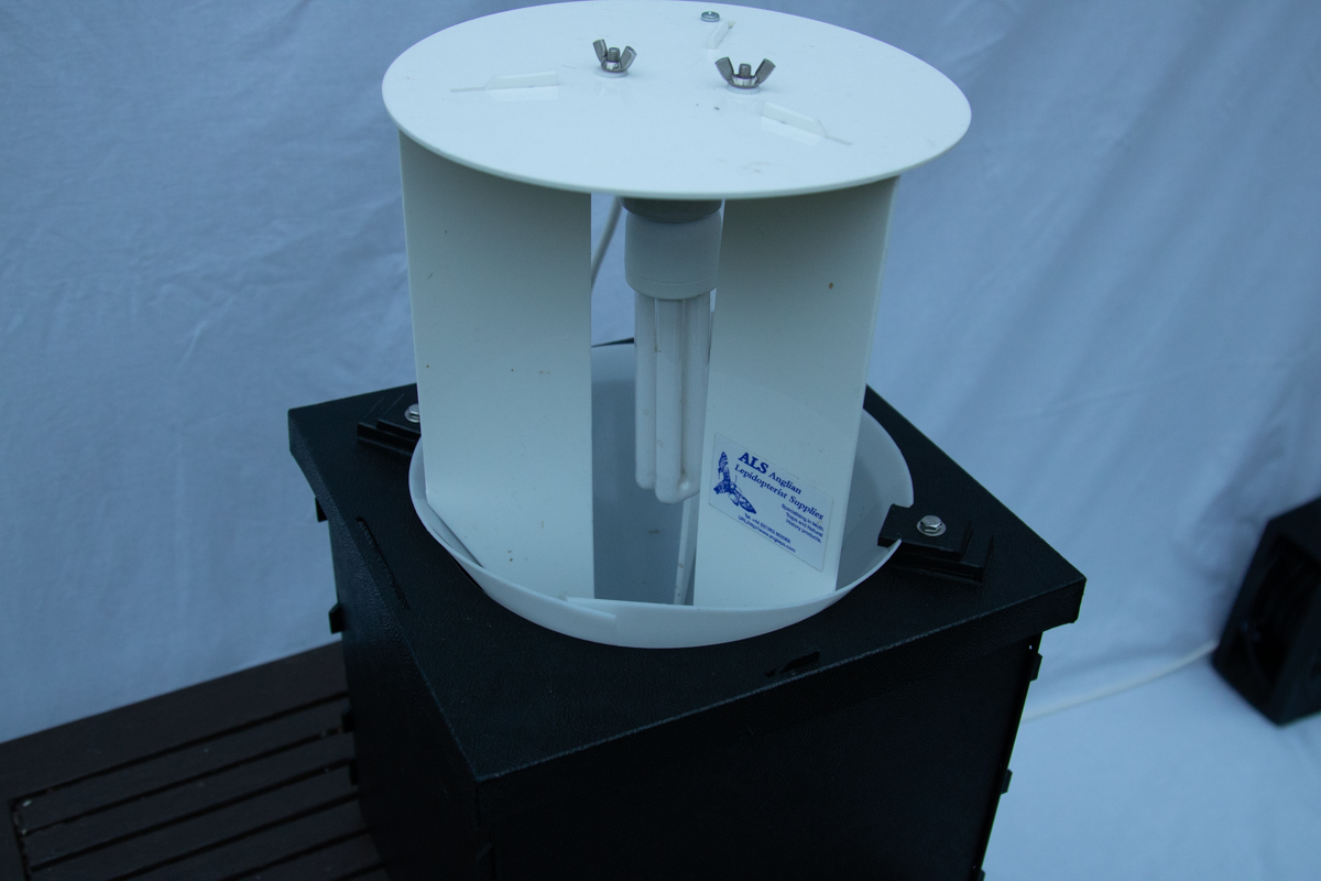 Moth Trap article 30jun208861.jpg