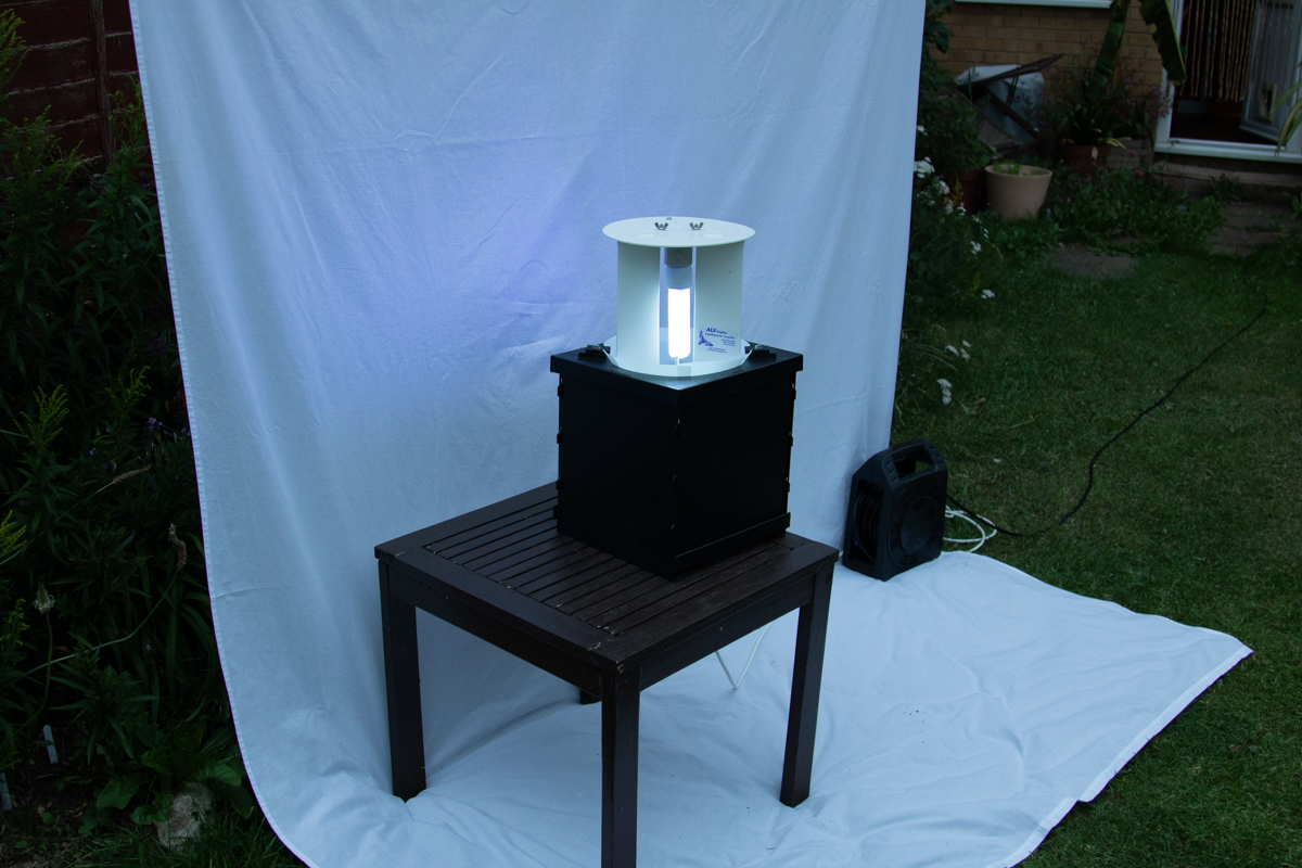 Moth Trap article 30jun208864.jpg