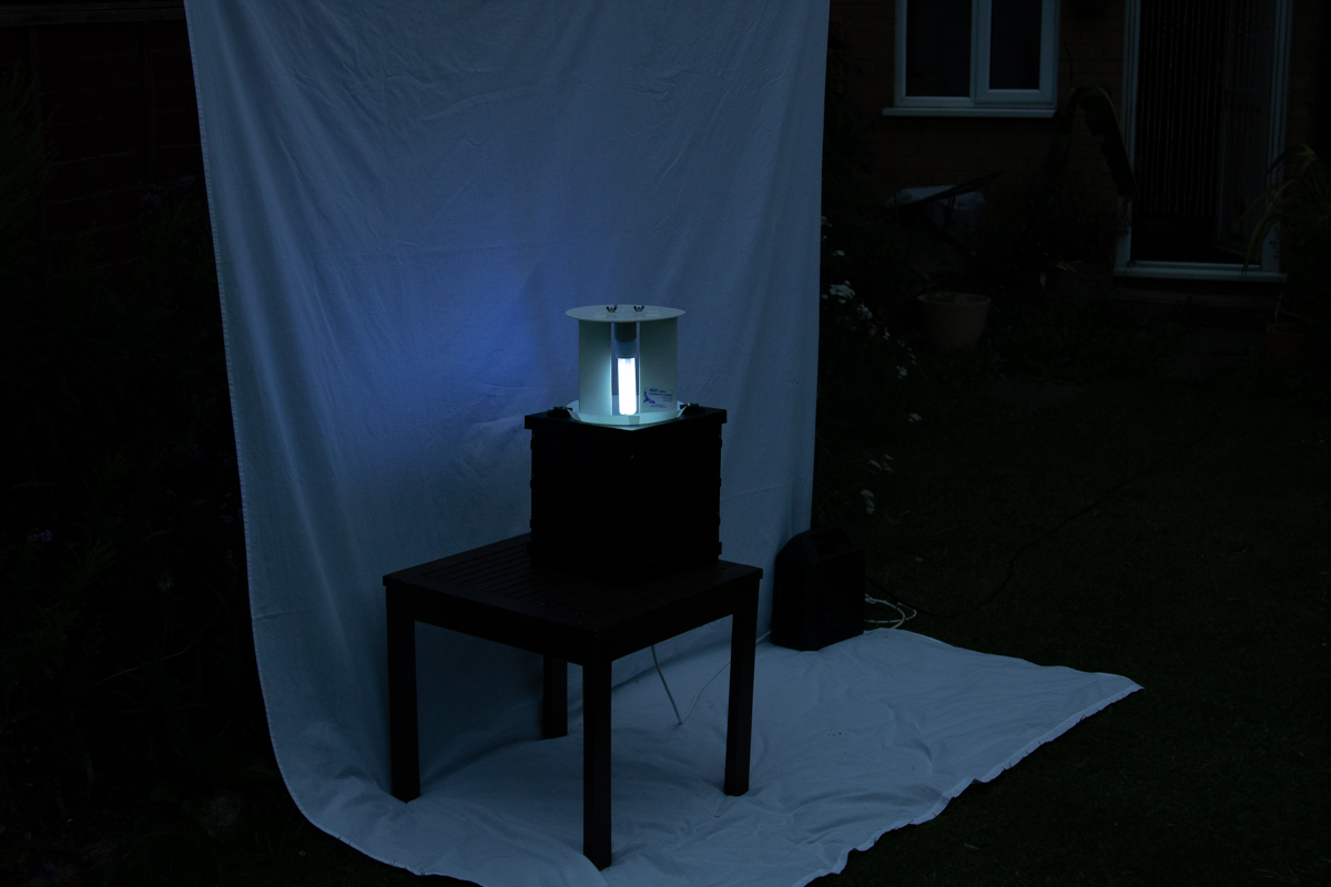 Moth Trap article 30jun208867.jpg