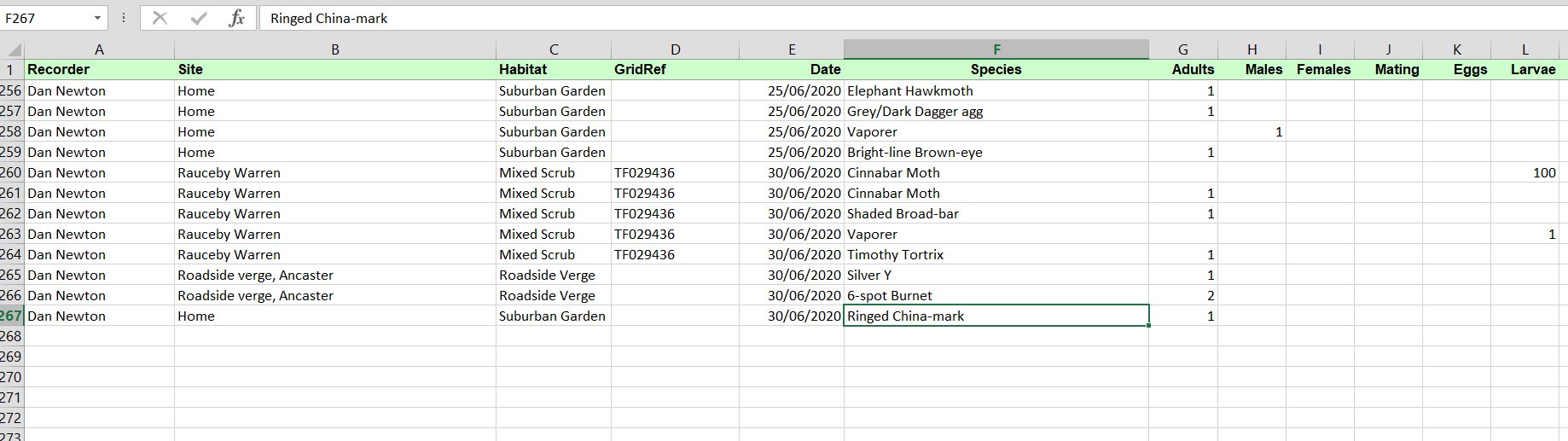 moth trap sheet.JPG