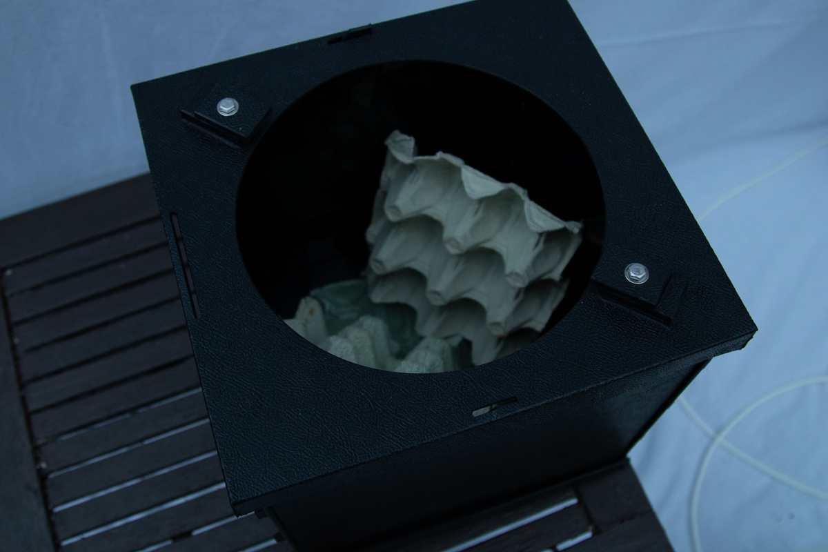 Moth Trap article 30jun208863.jpg