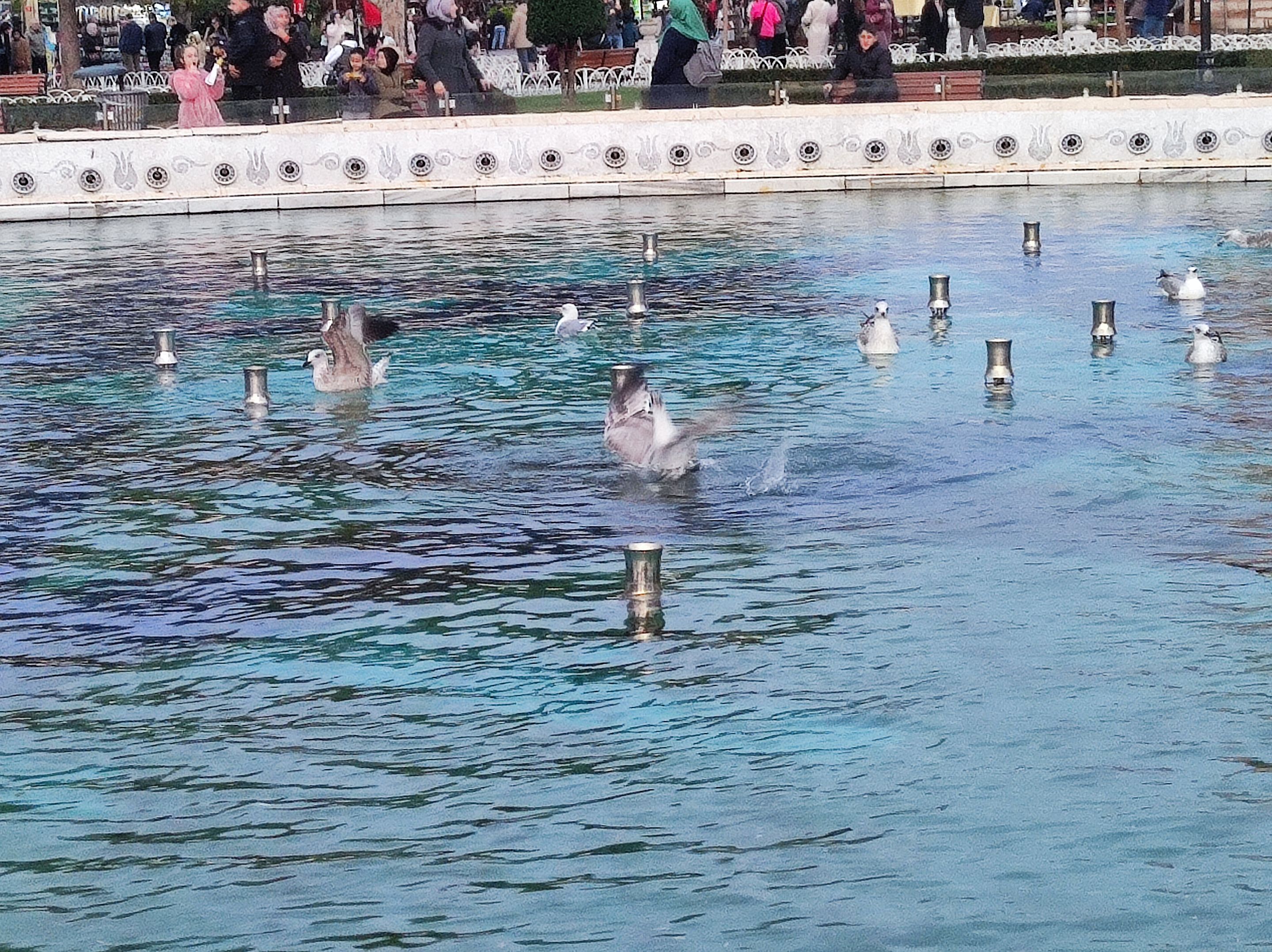 IMG_20241114_173640.jpg