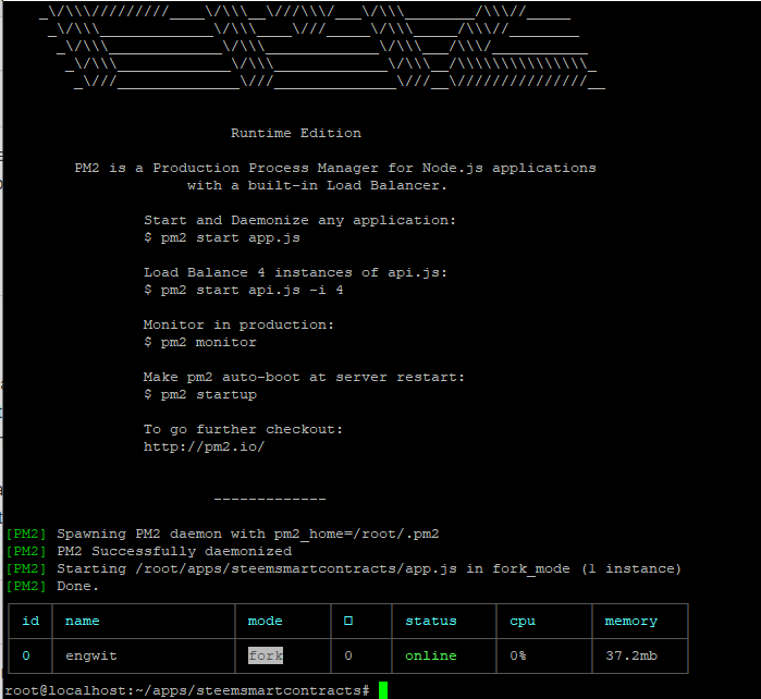 PM2 start screen shot with some commands.PNG