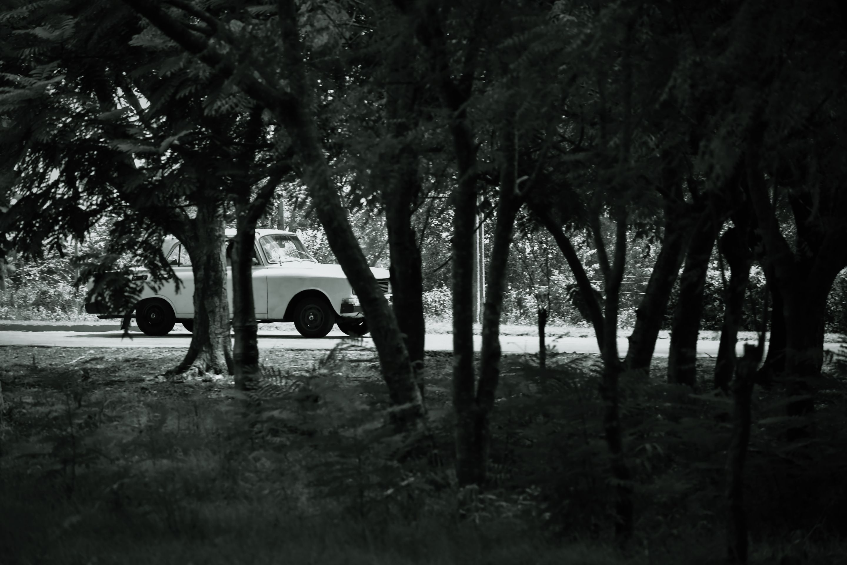 YFM_7037 copia.jpg