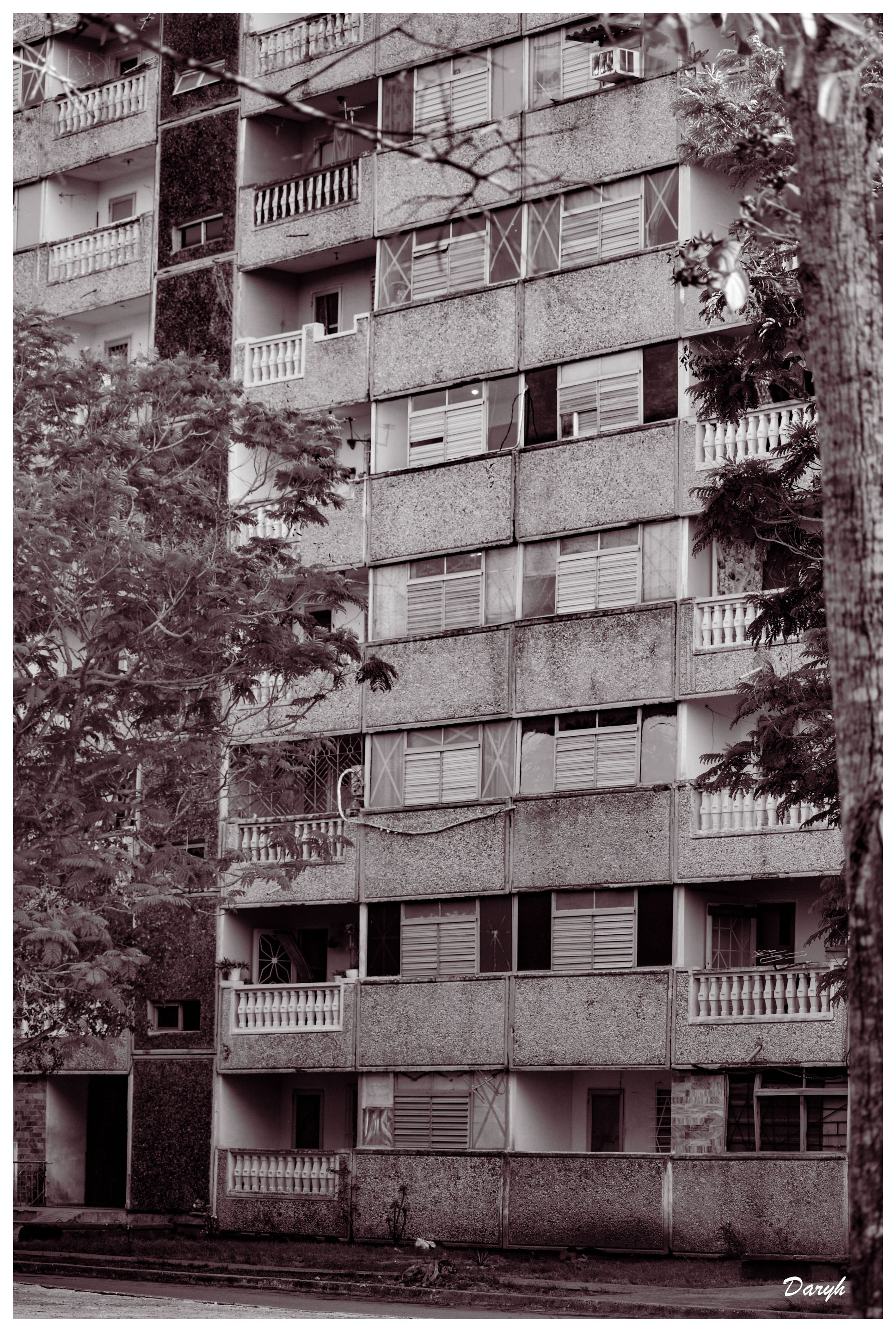 6114 copia.jpg