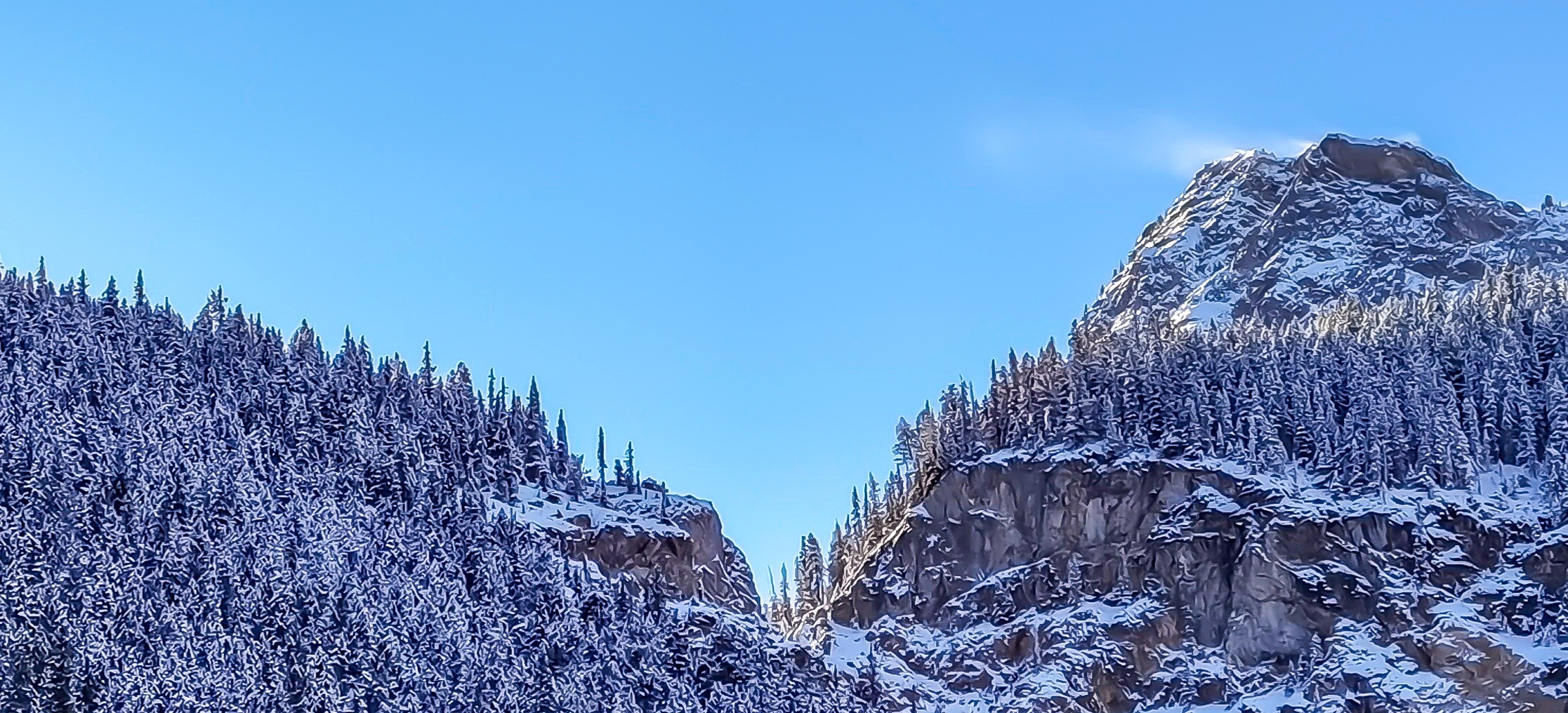 D2902087-80DA-4F44-992E-B952F370D82E.jpeg