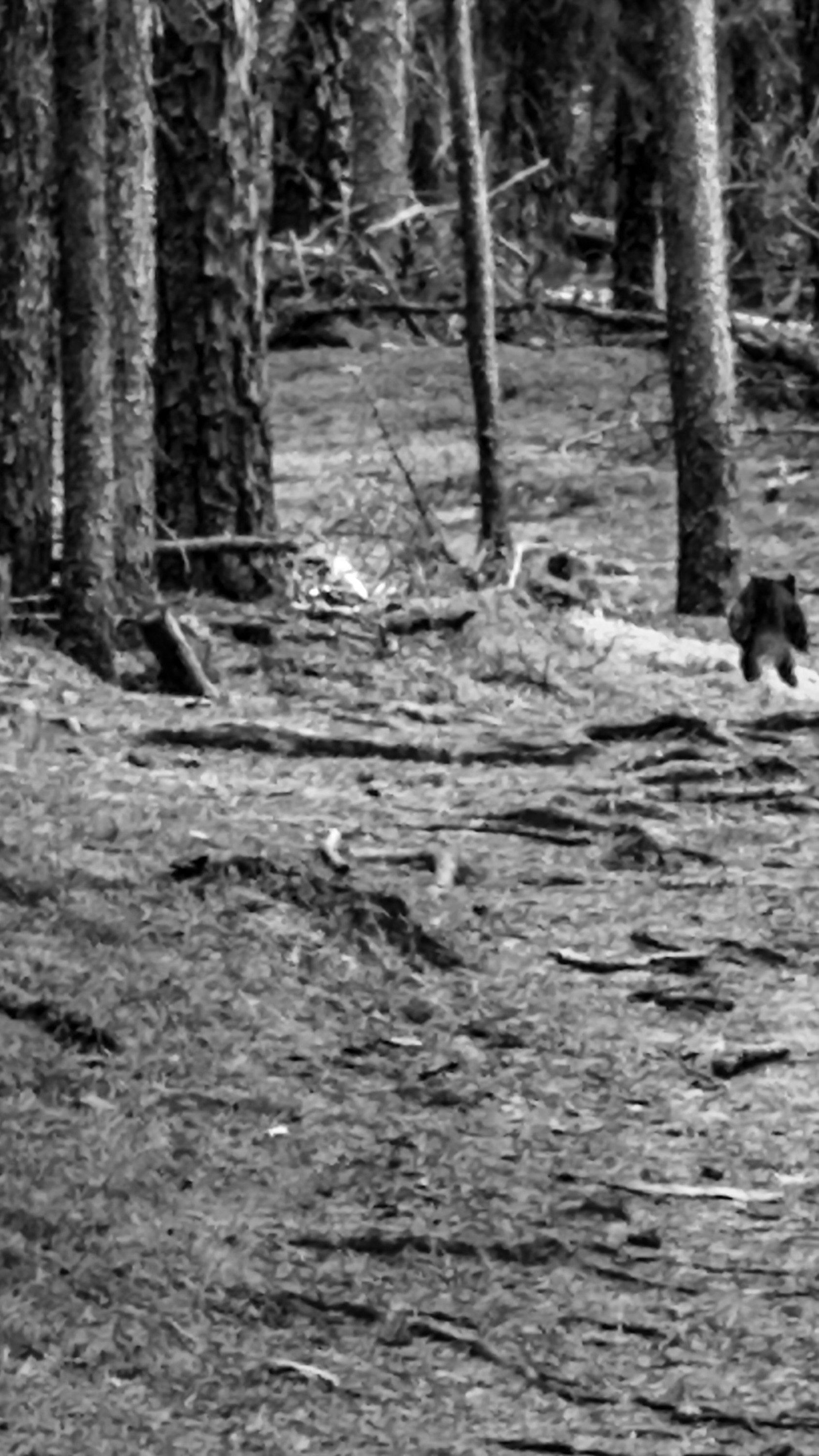 IMG_0783.jpeg