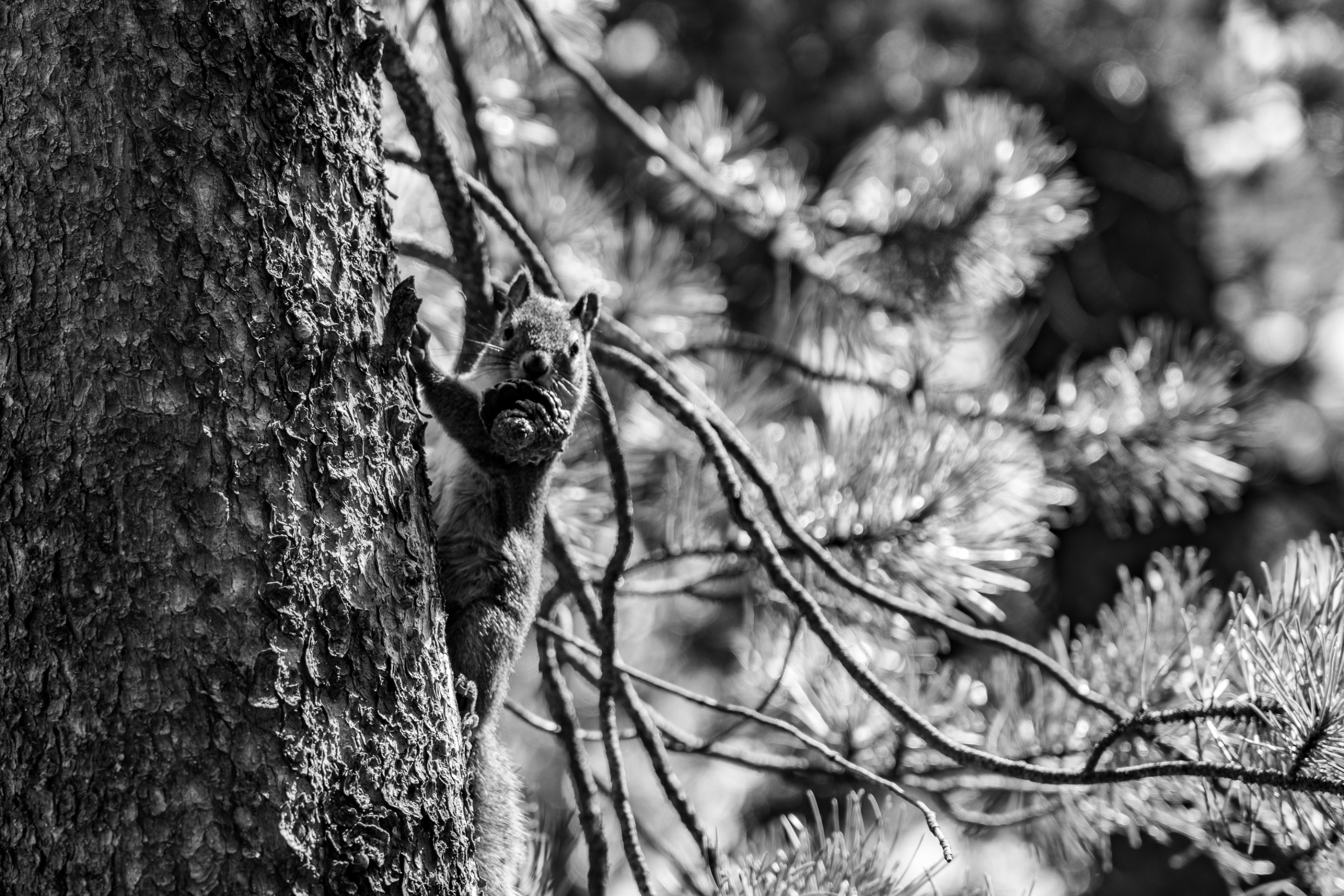 DSC08202.jpeg