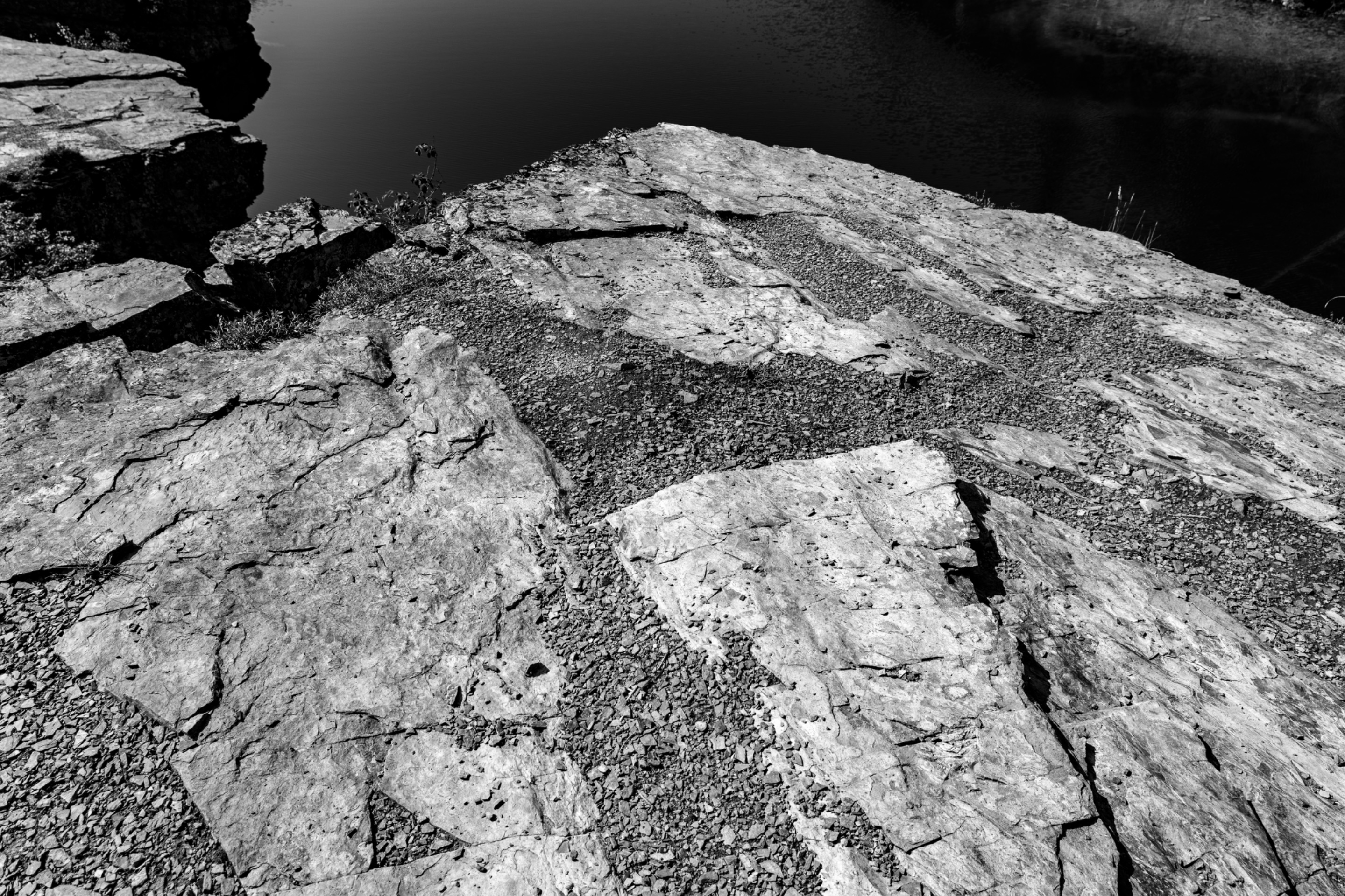 DSC08284.jpeg