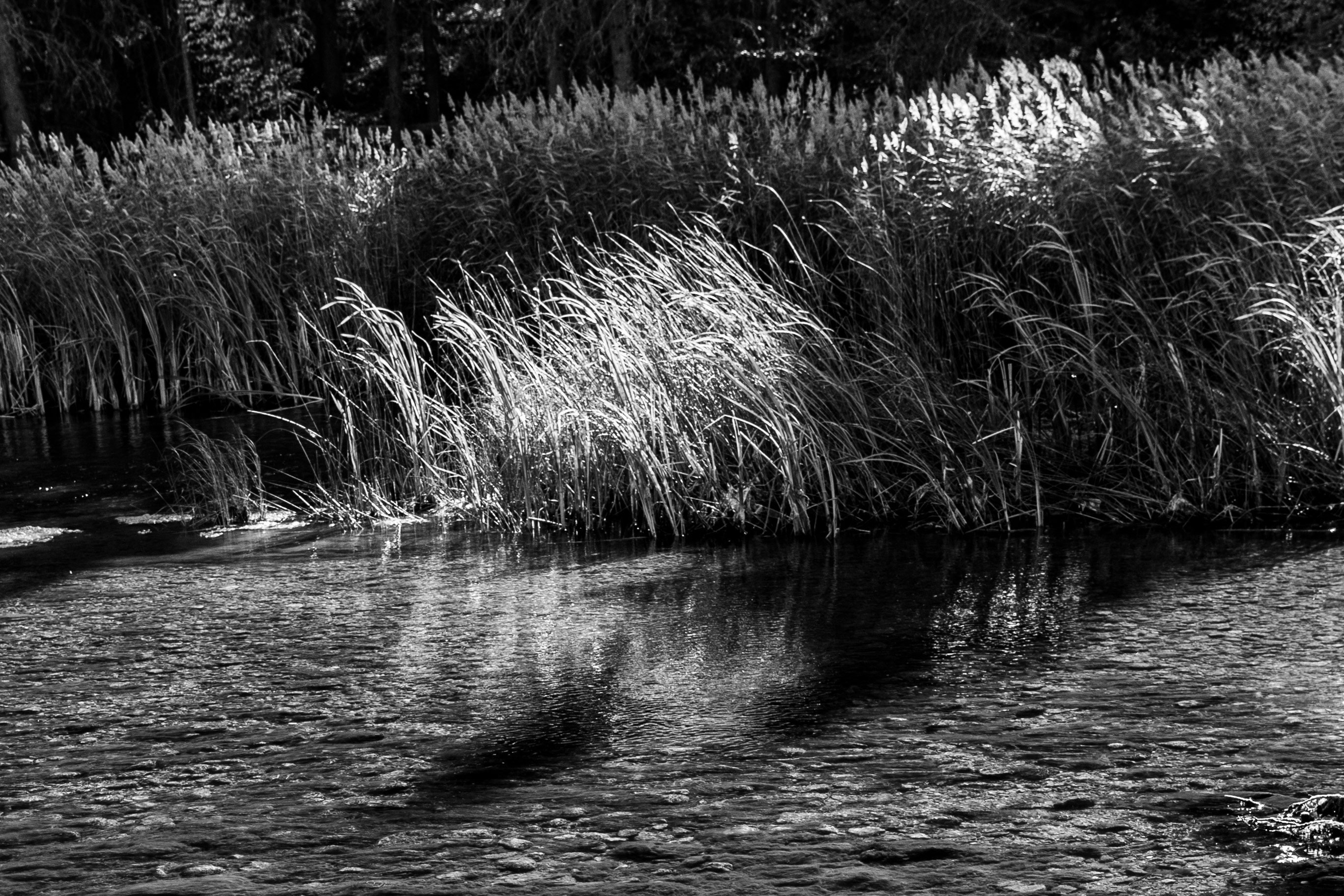 DSC08649.jpeg