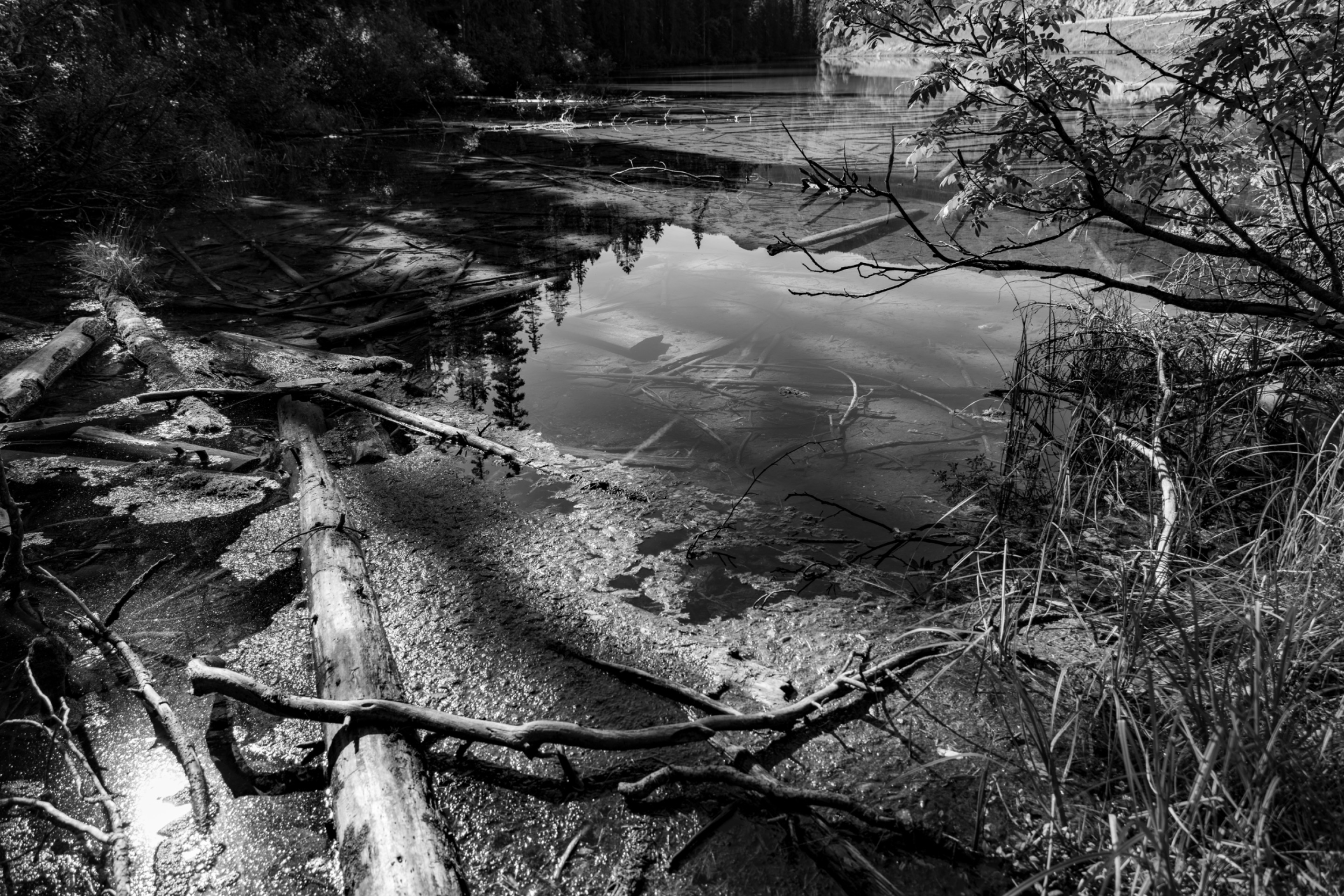 DSC08397.jpeg