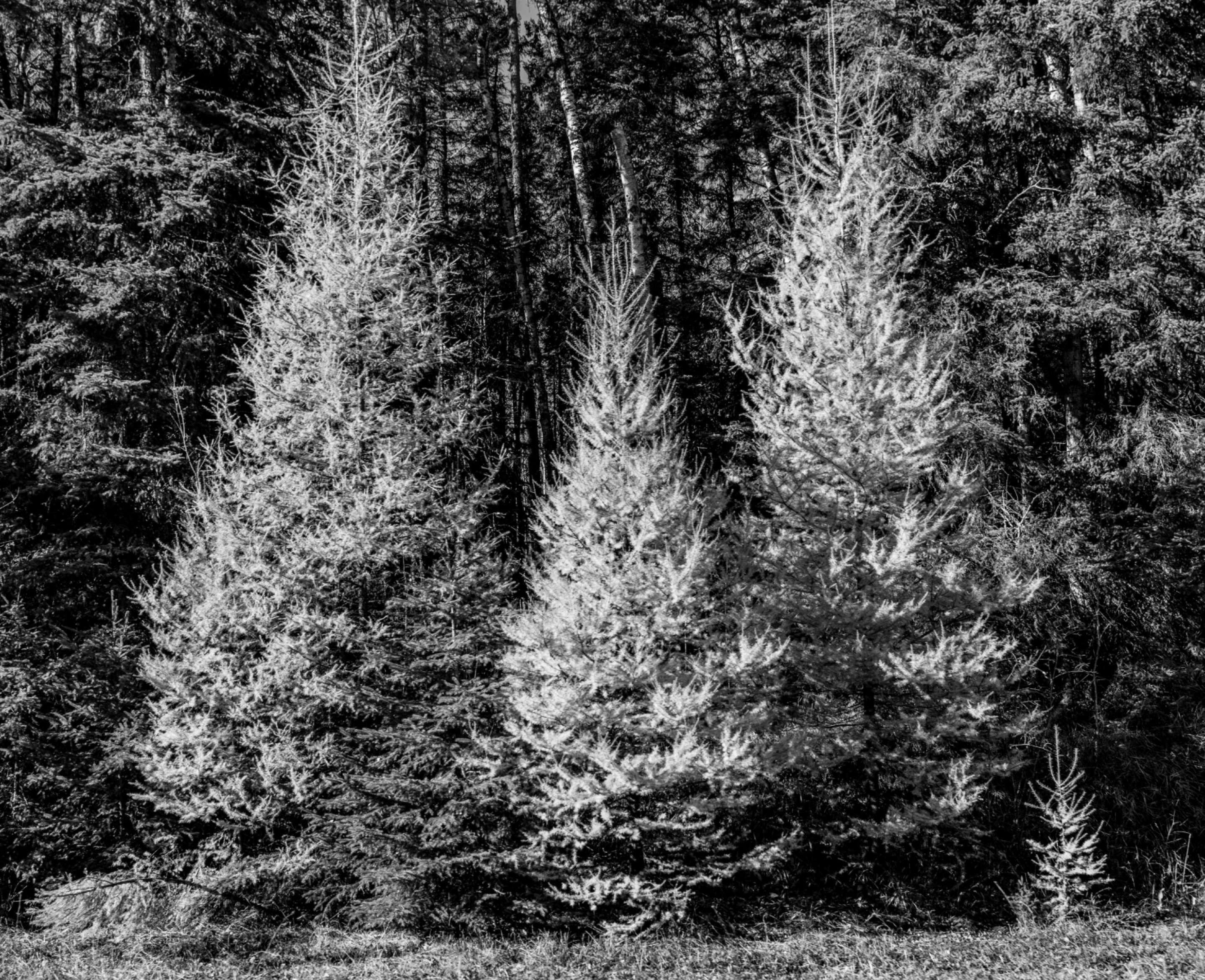 DSC08792.jpeg