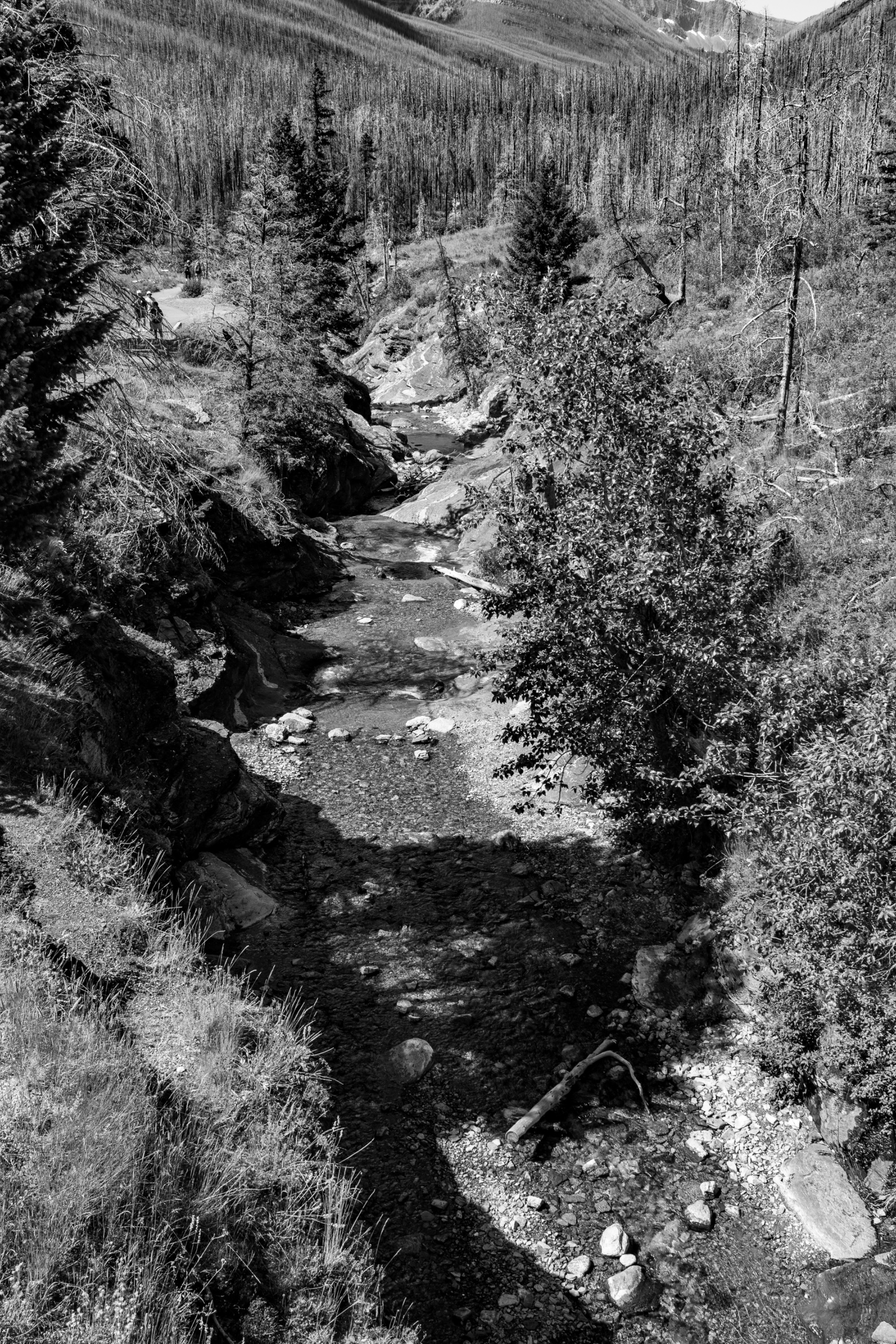 DSC07961.jpeg