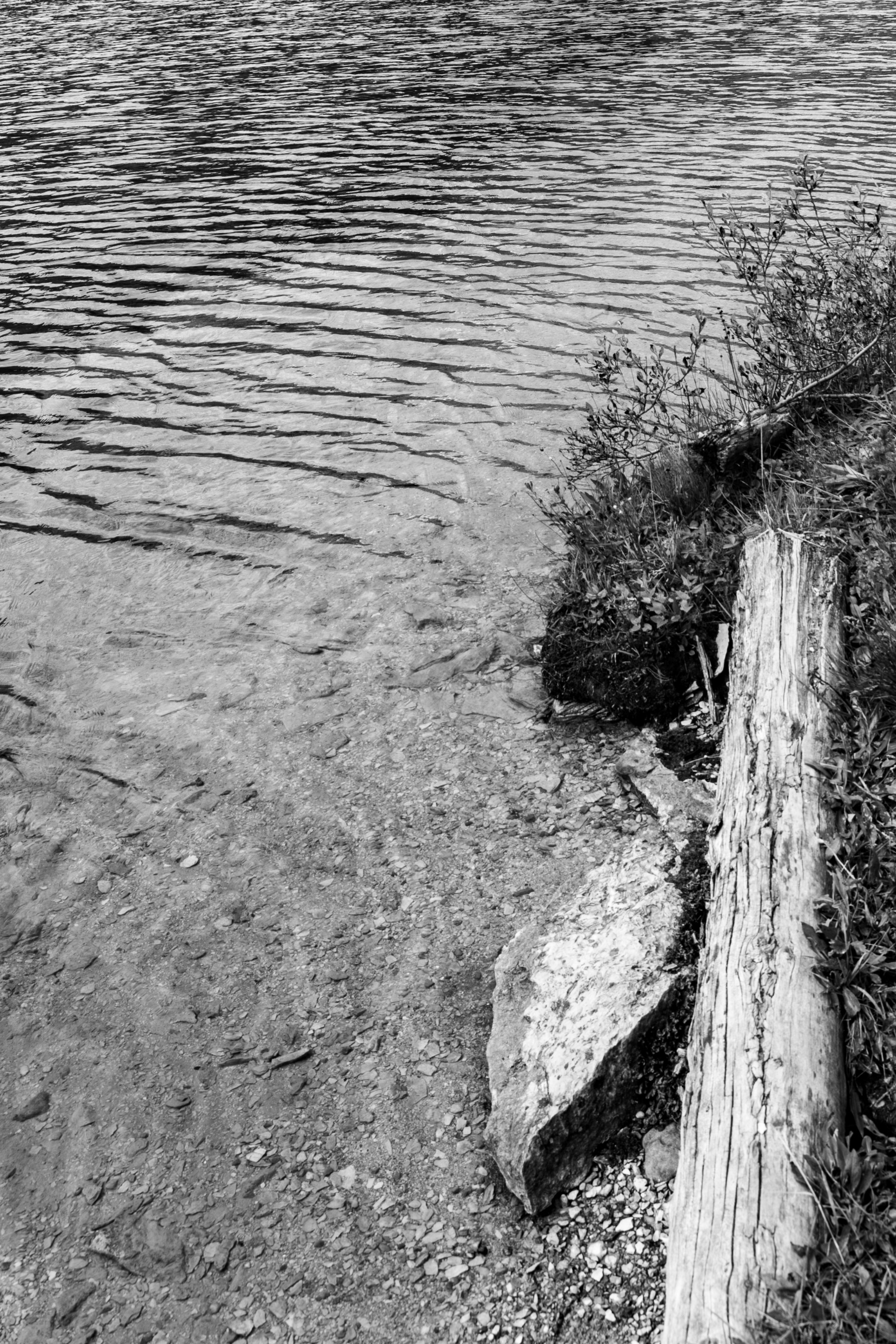 DSC08460.jpeg