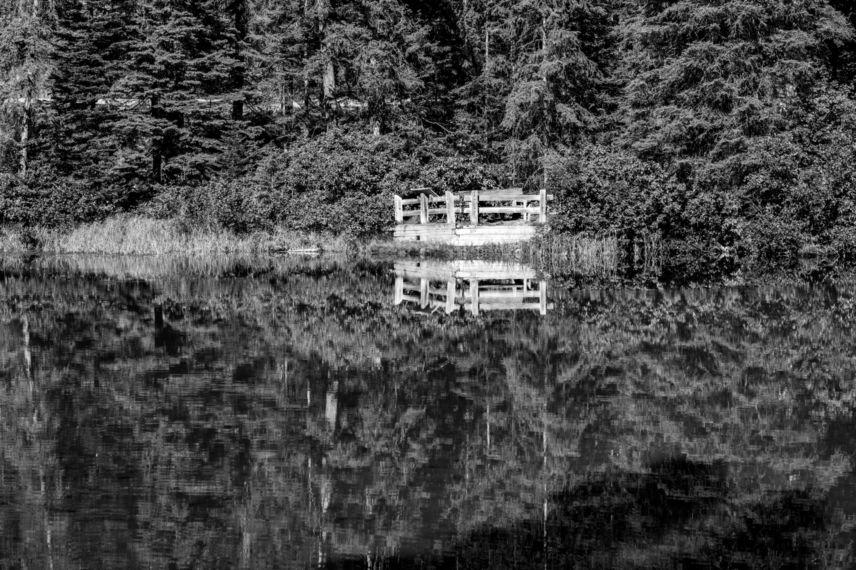 DSC08405.jpeg