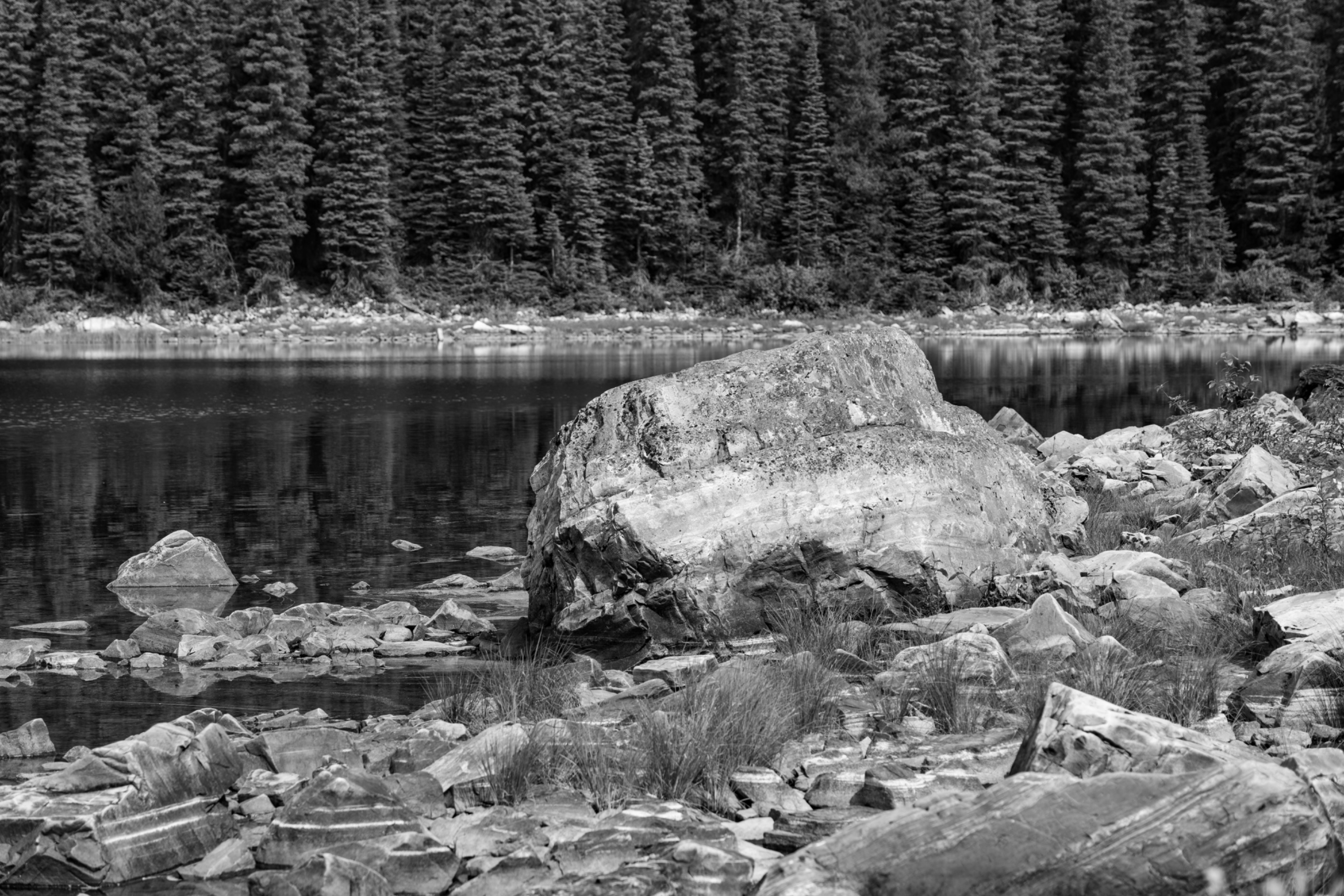 DSC08239.jpeg