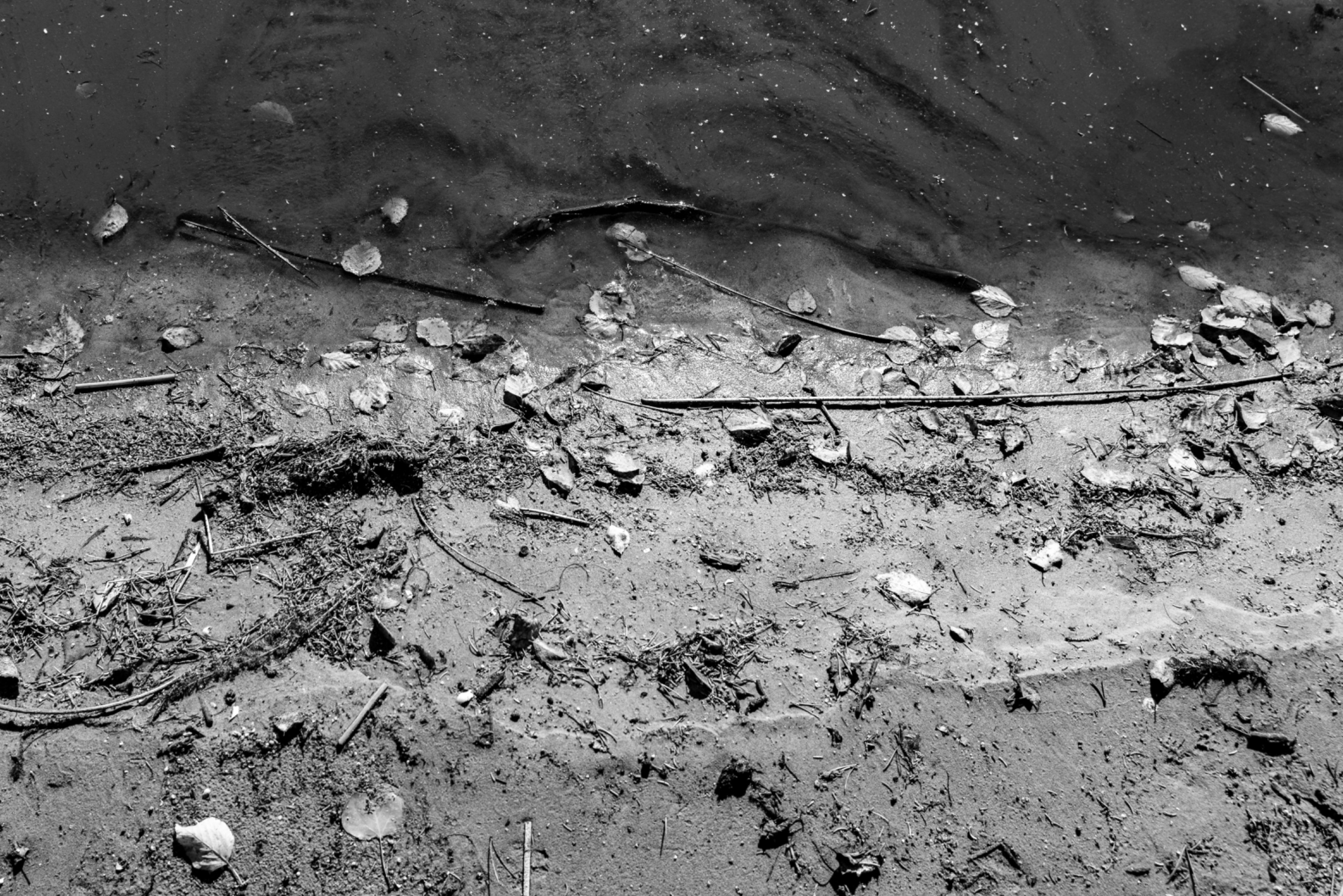 DSC08668.jpeg