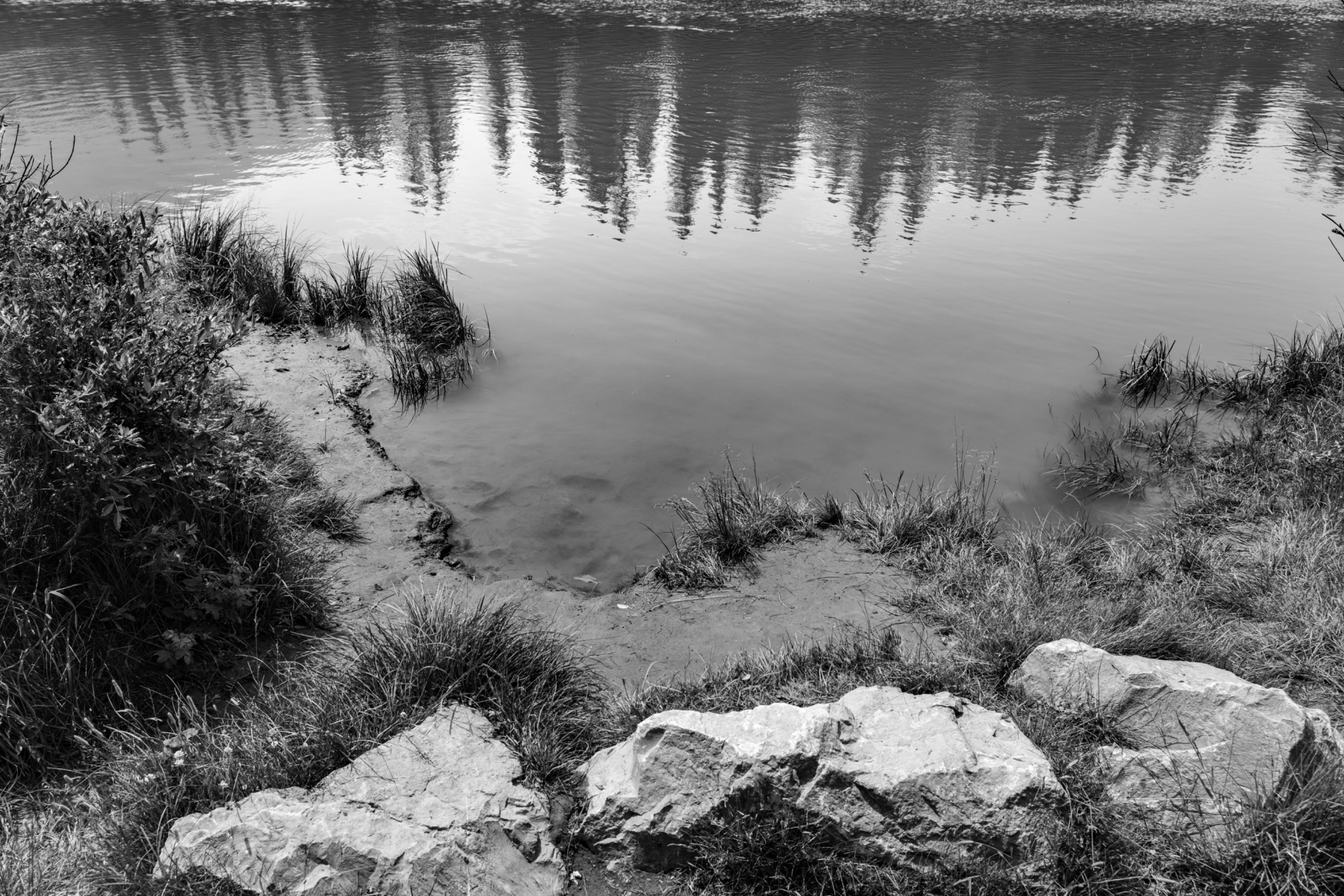 DSC08217.jpeg