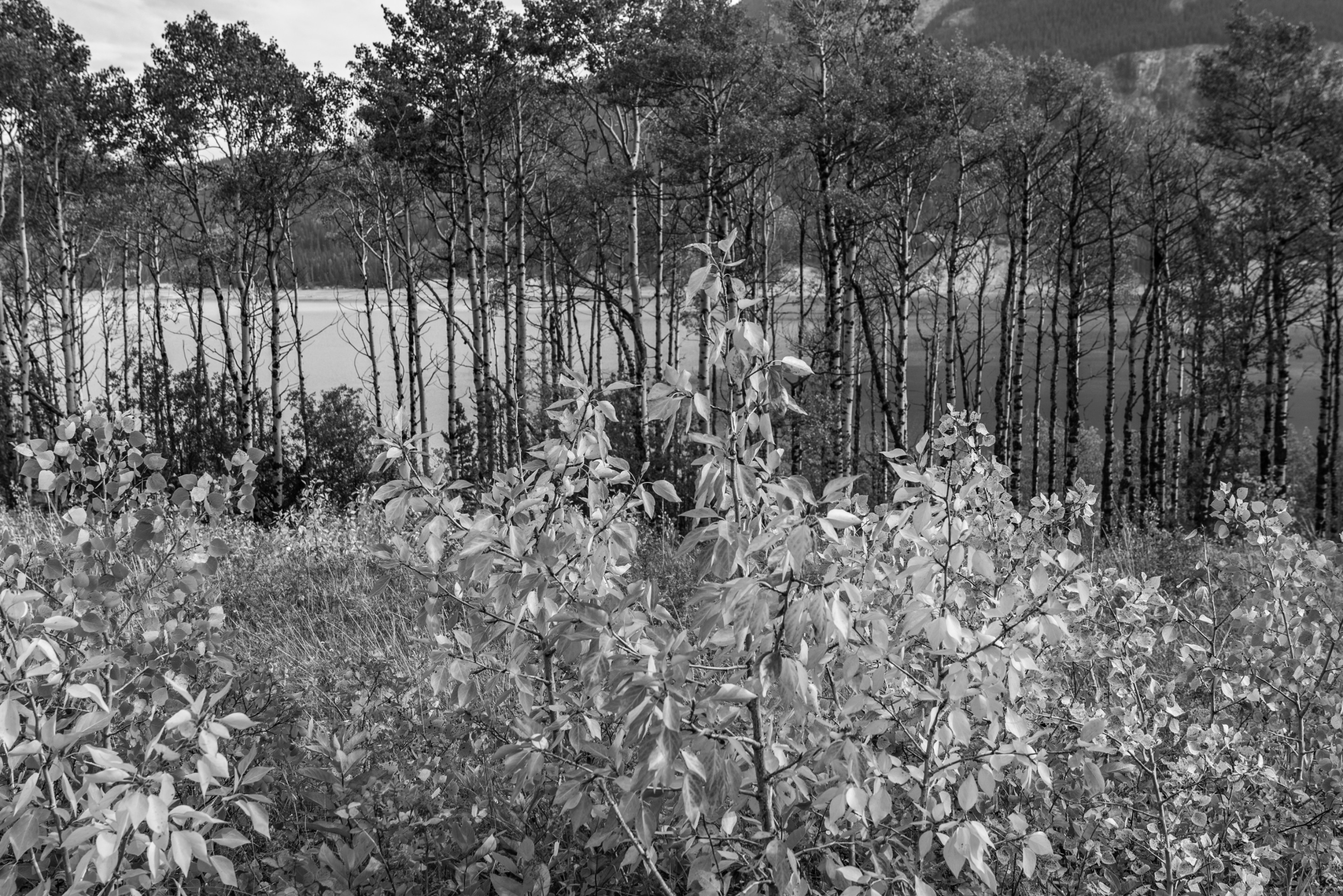DSC06762.jpeg