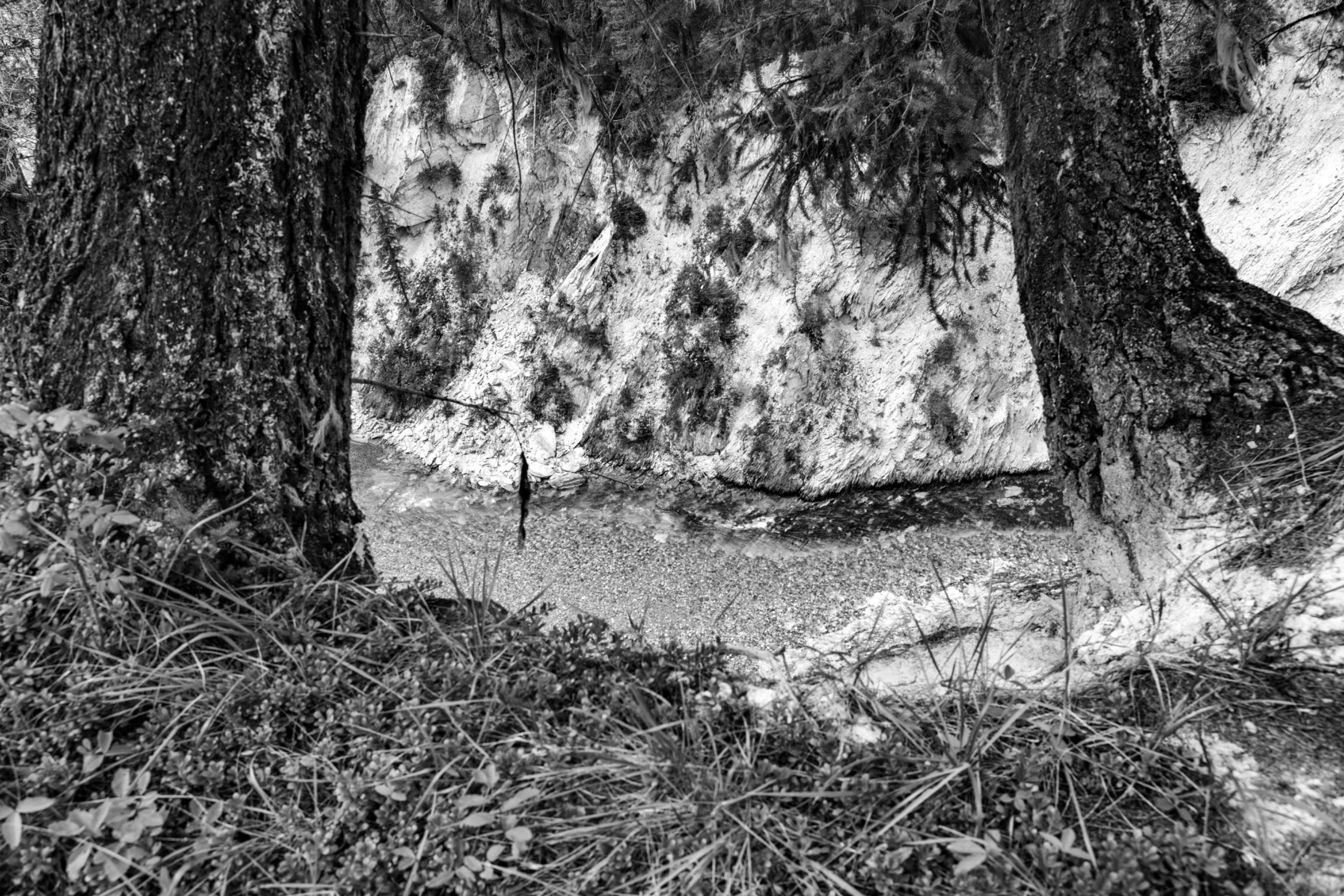 DSC08549.jpeg