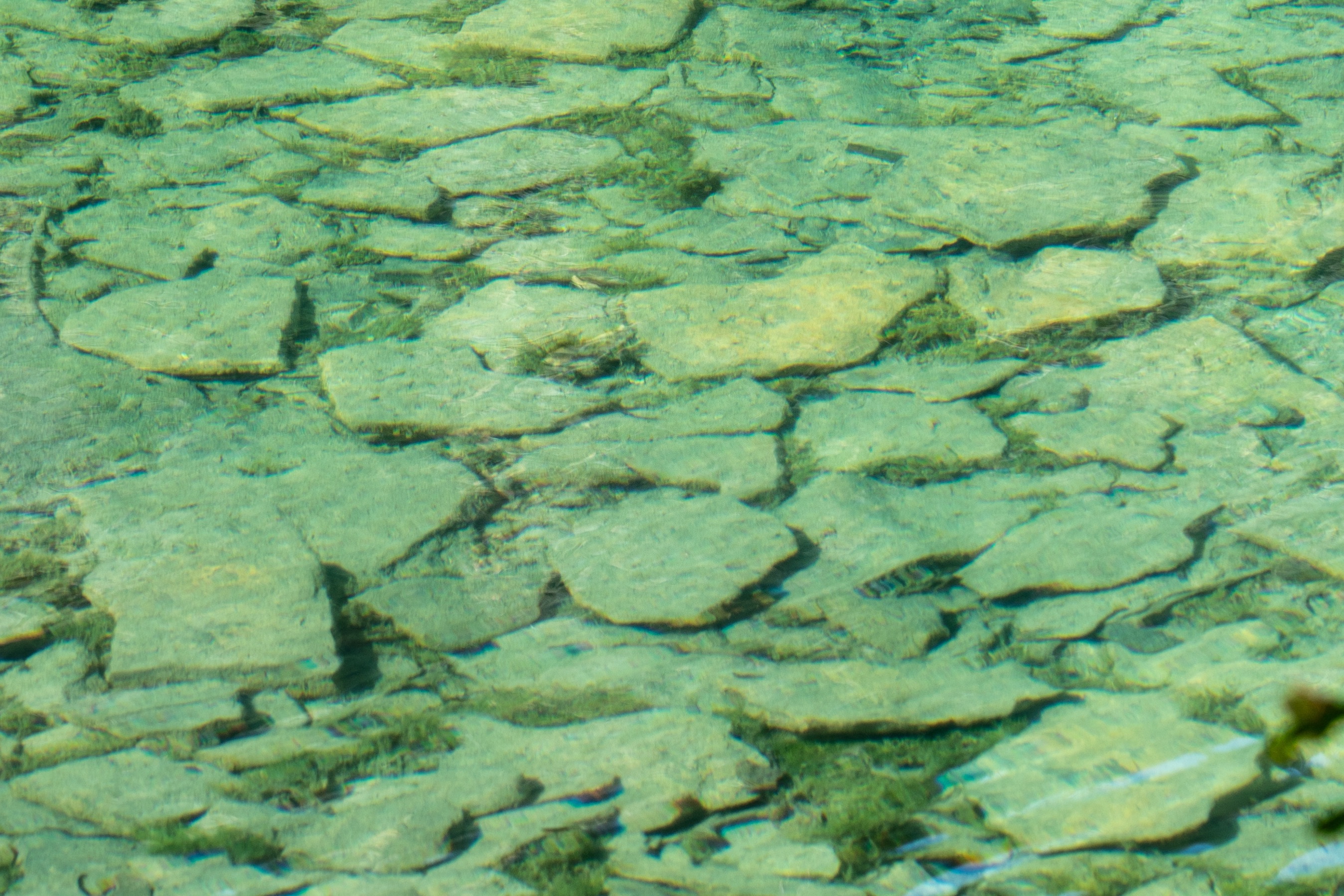 DSC08296.jpeg