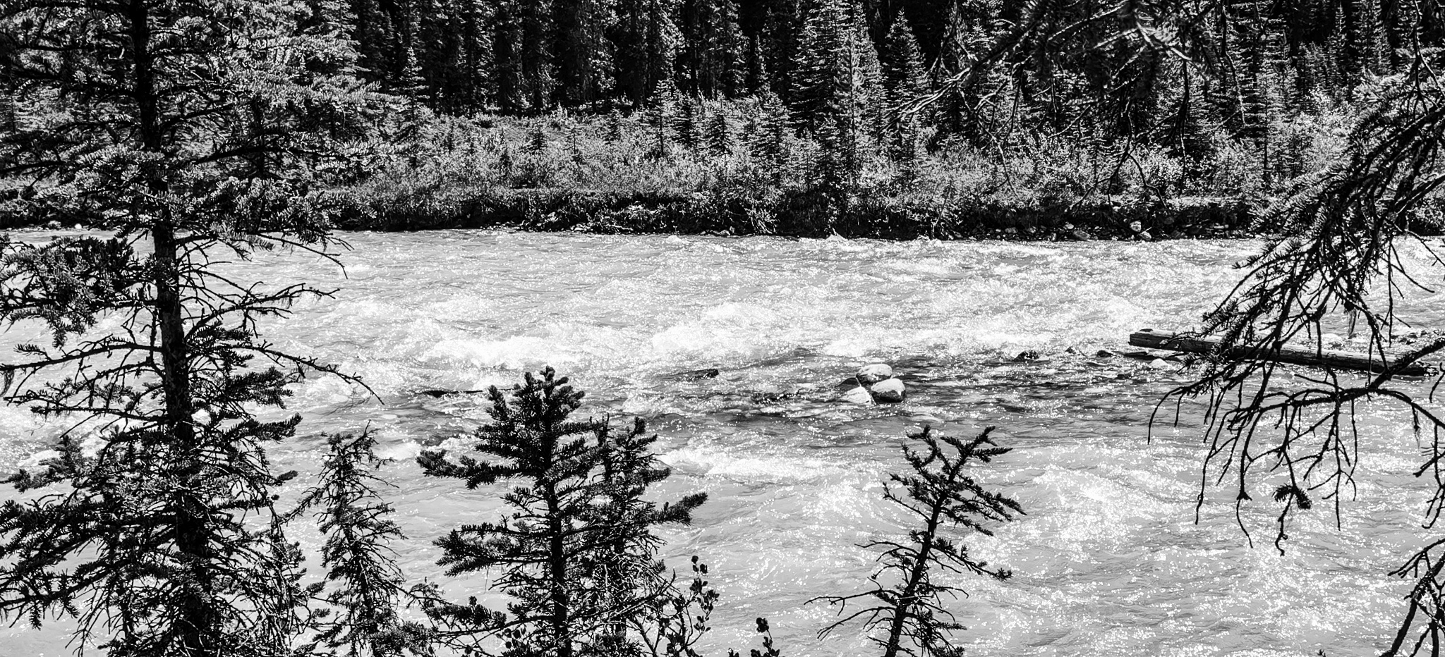 5B269AB8-3F77-4947-BEFD-38BD0353B845.jpeg