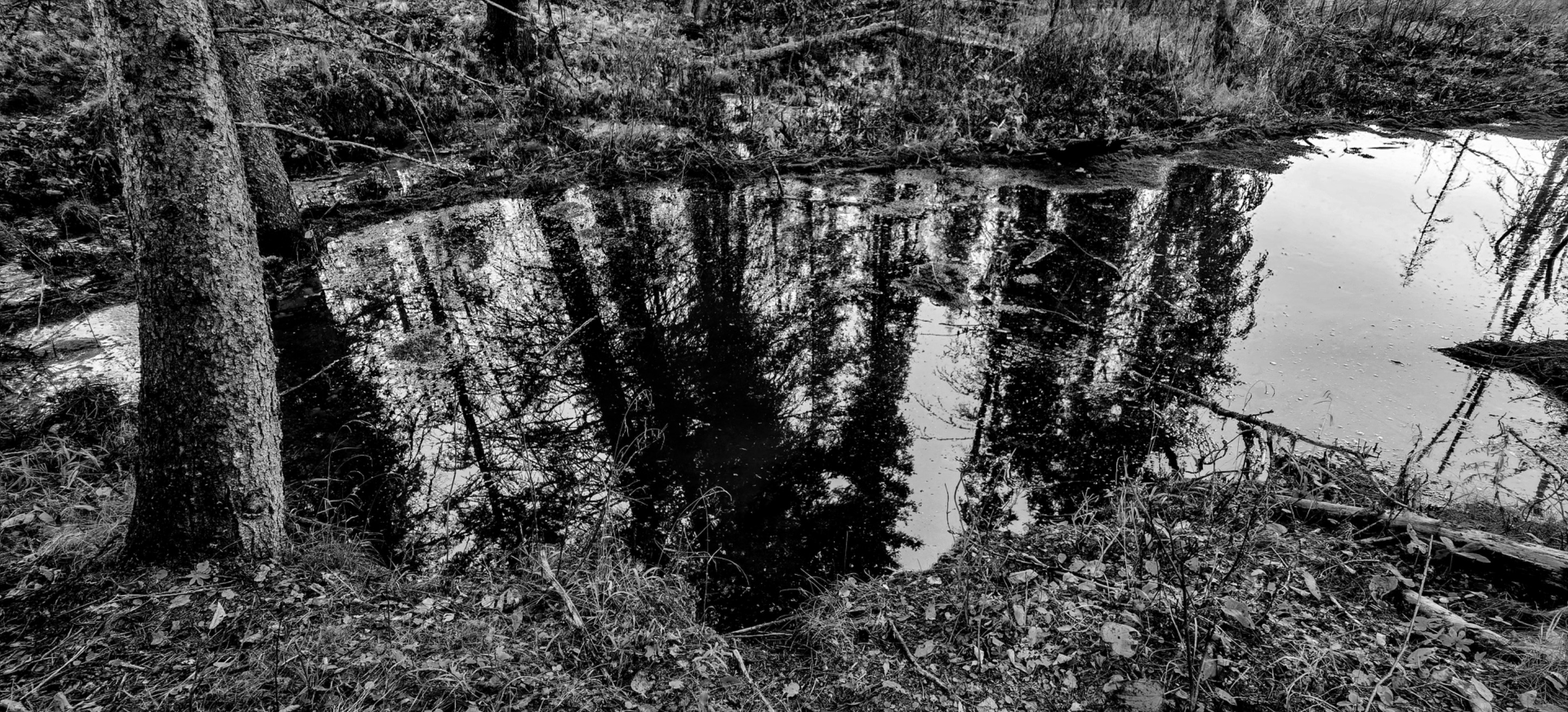 IMG_20241013_160744_Original.jpeg