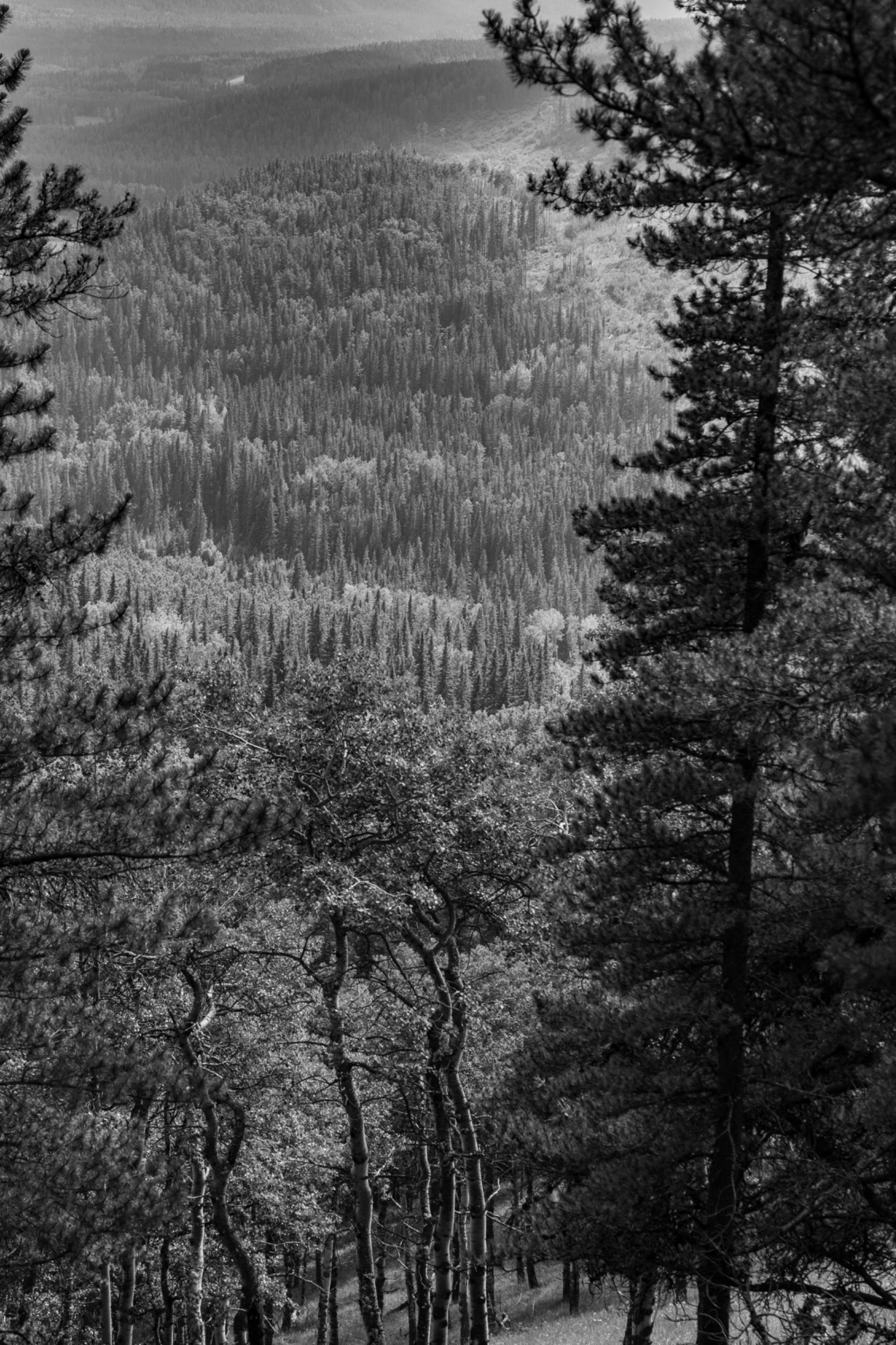DSC08196.jpeg