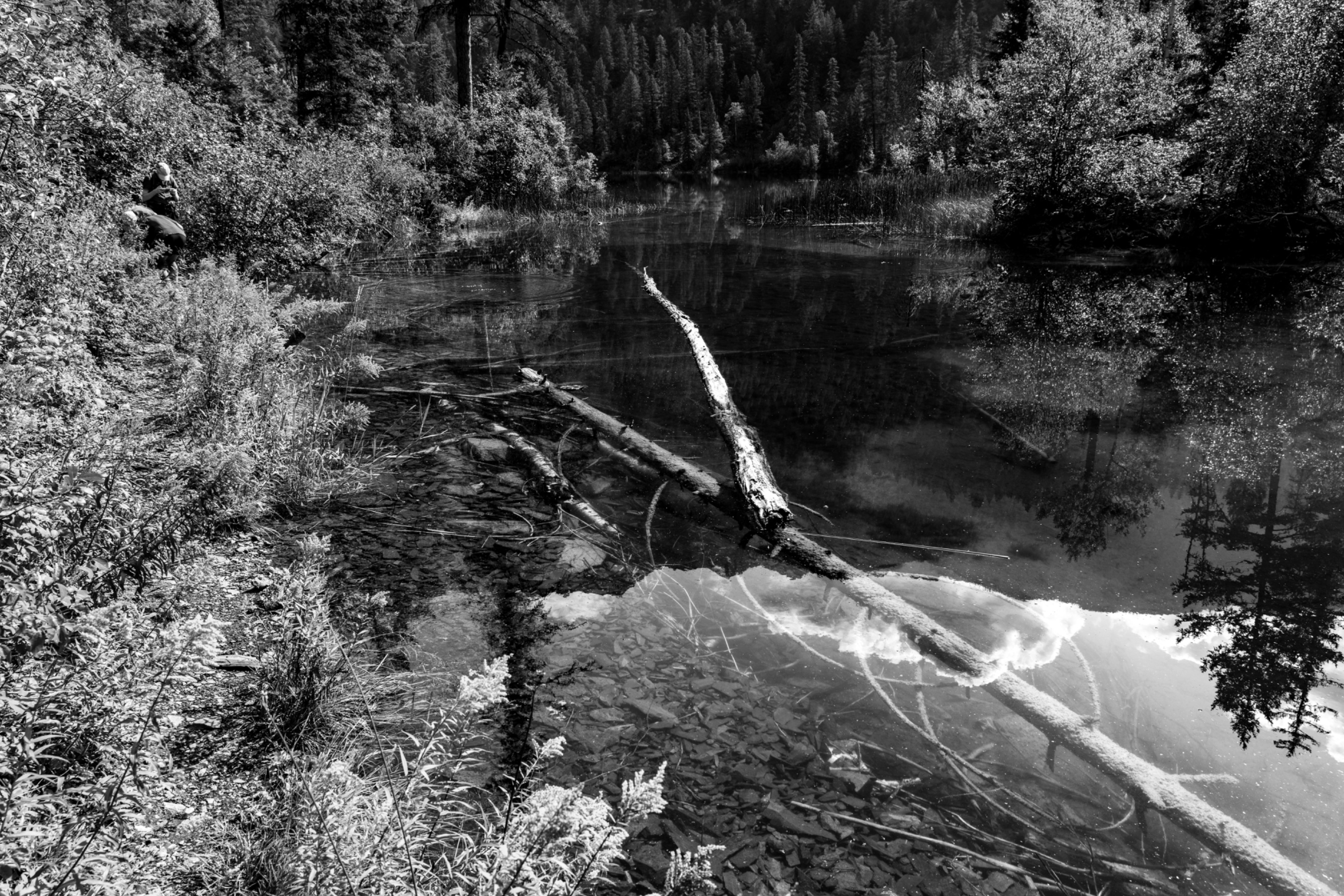 DSC08339.jpeg