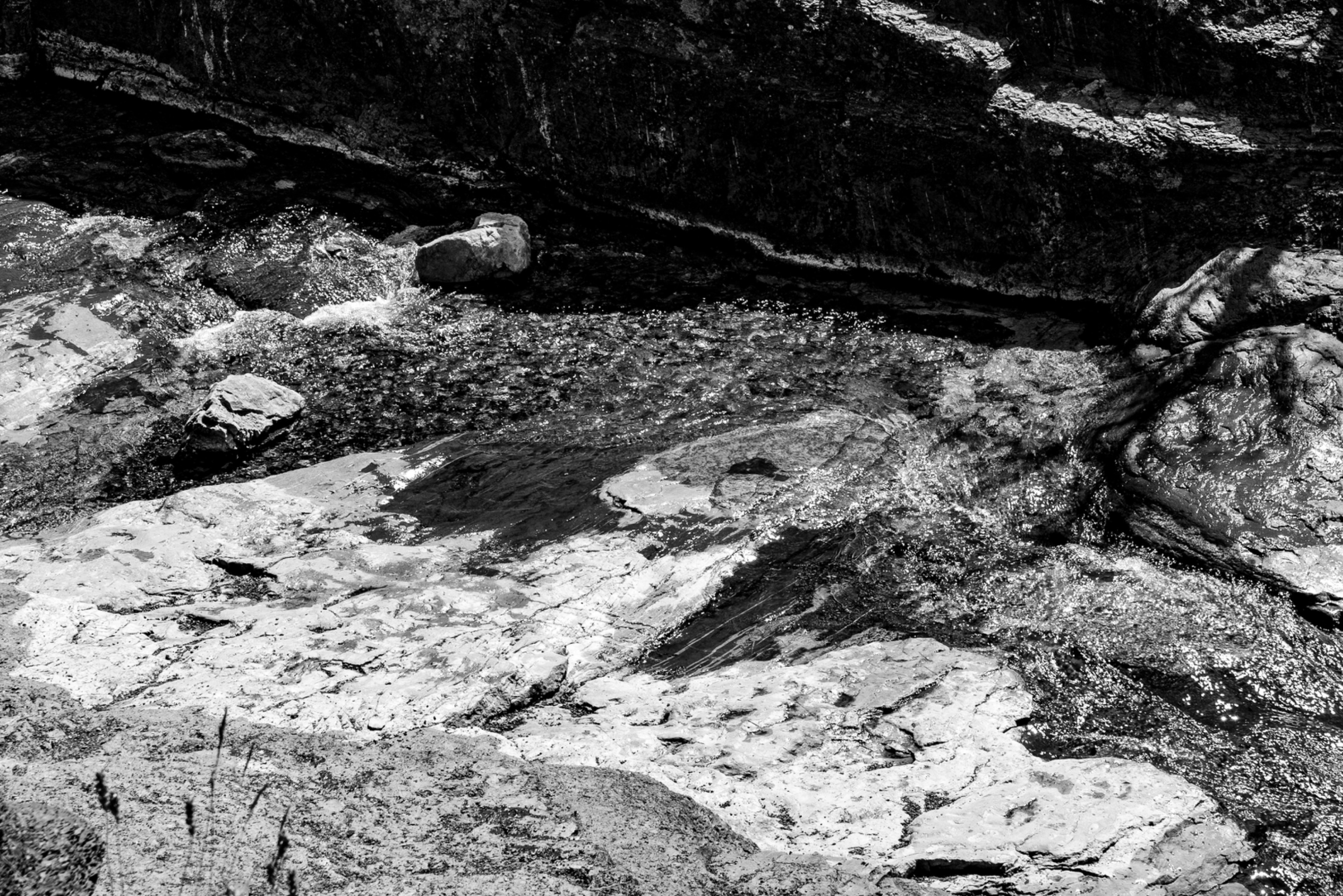 DSC07967.jpeg