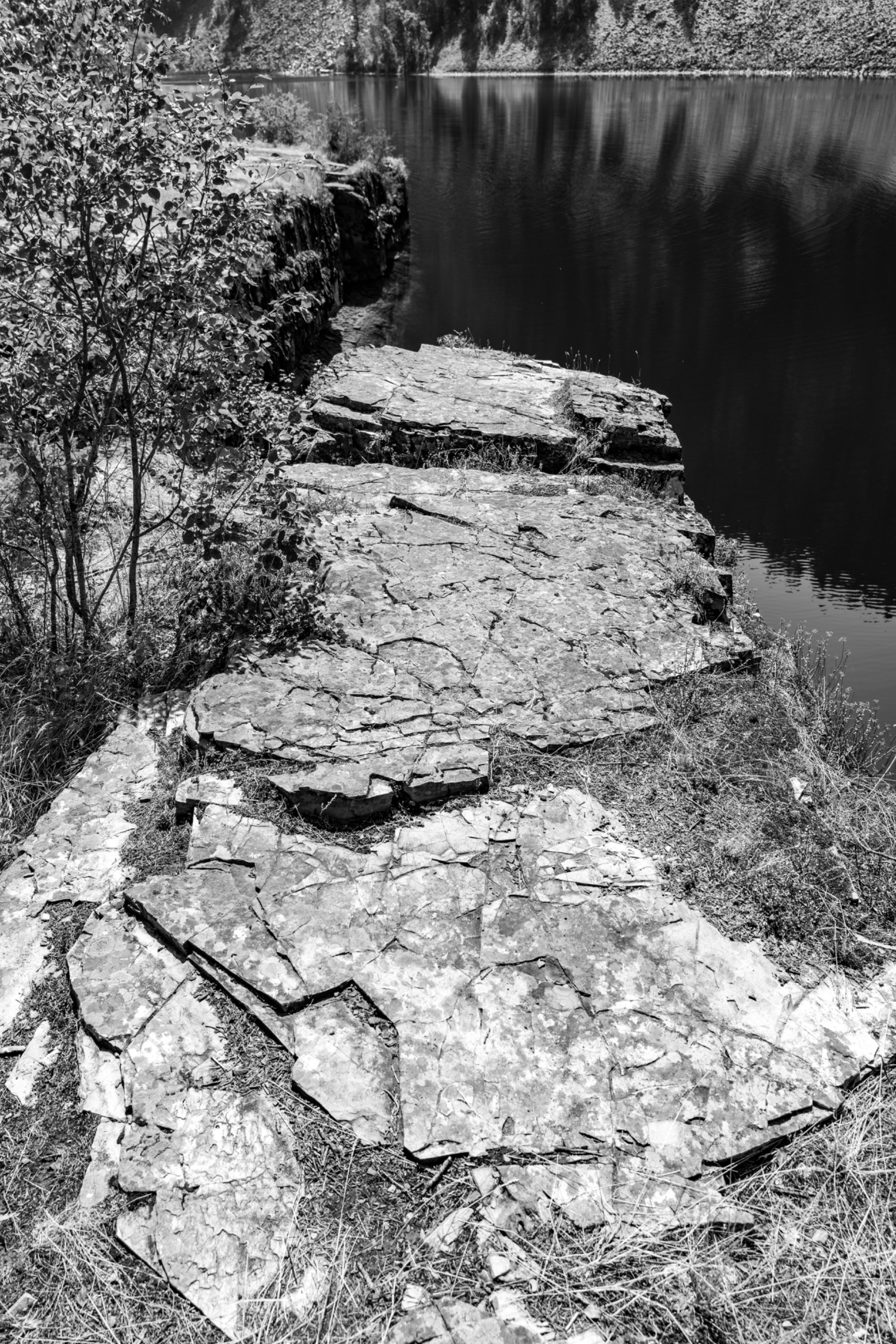 DSC08329.jpeg
