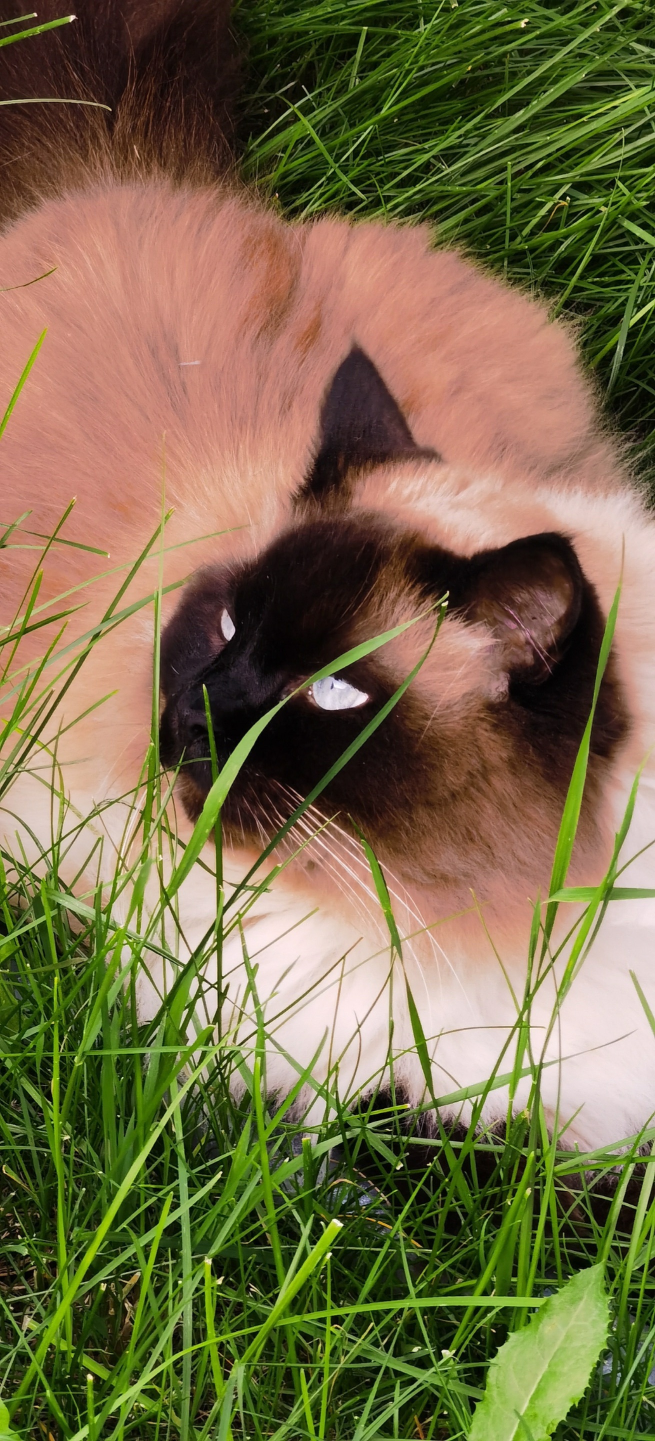 47095AA4-90C4-4D45-A85F-762217886A61.jpeg