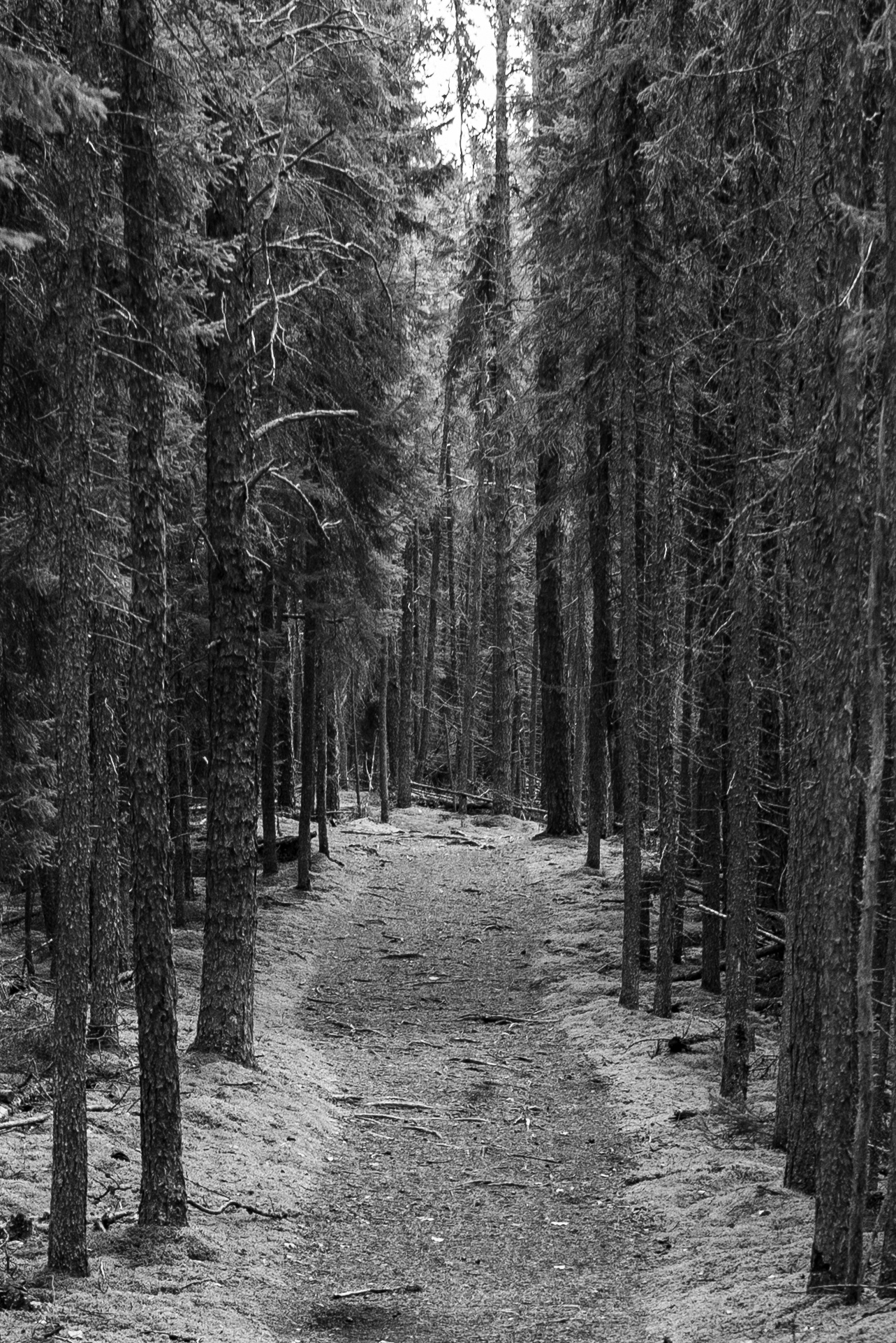 DSC08777.jpeg