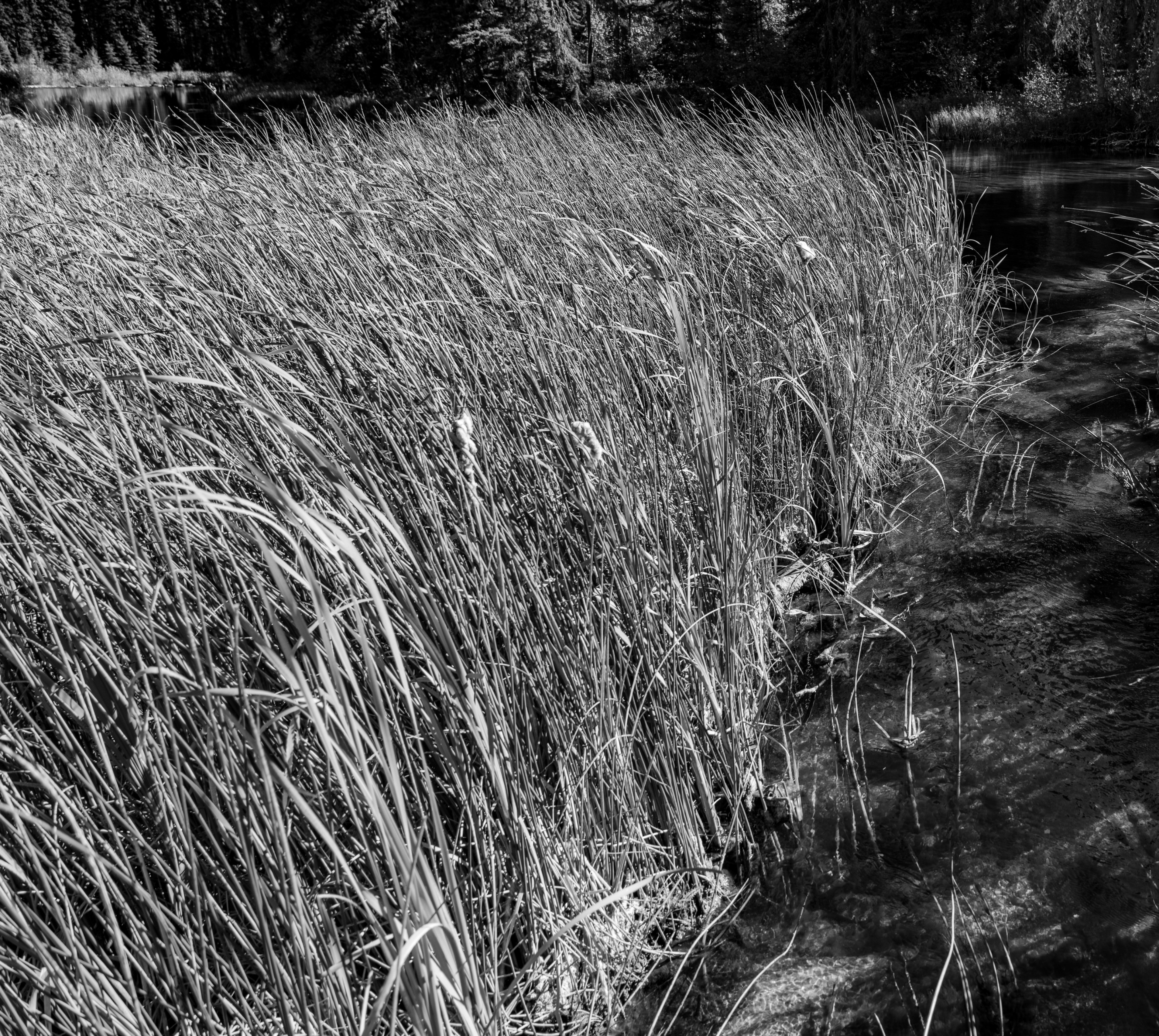 DSC08635.jpeg