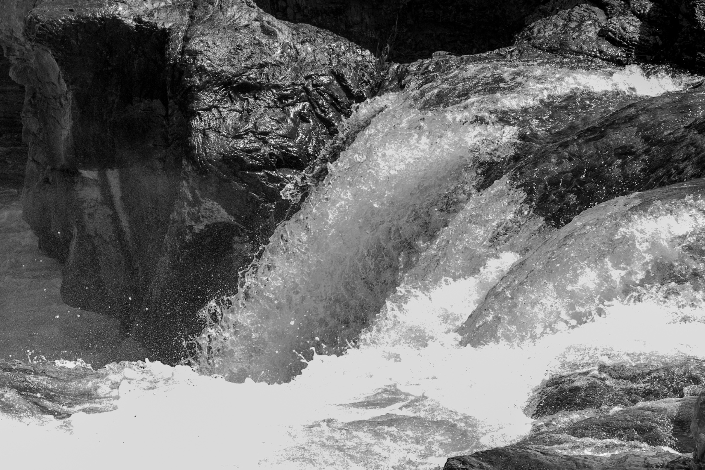 DSC08176.jpeg