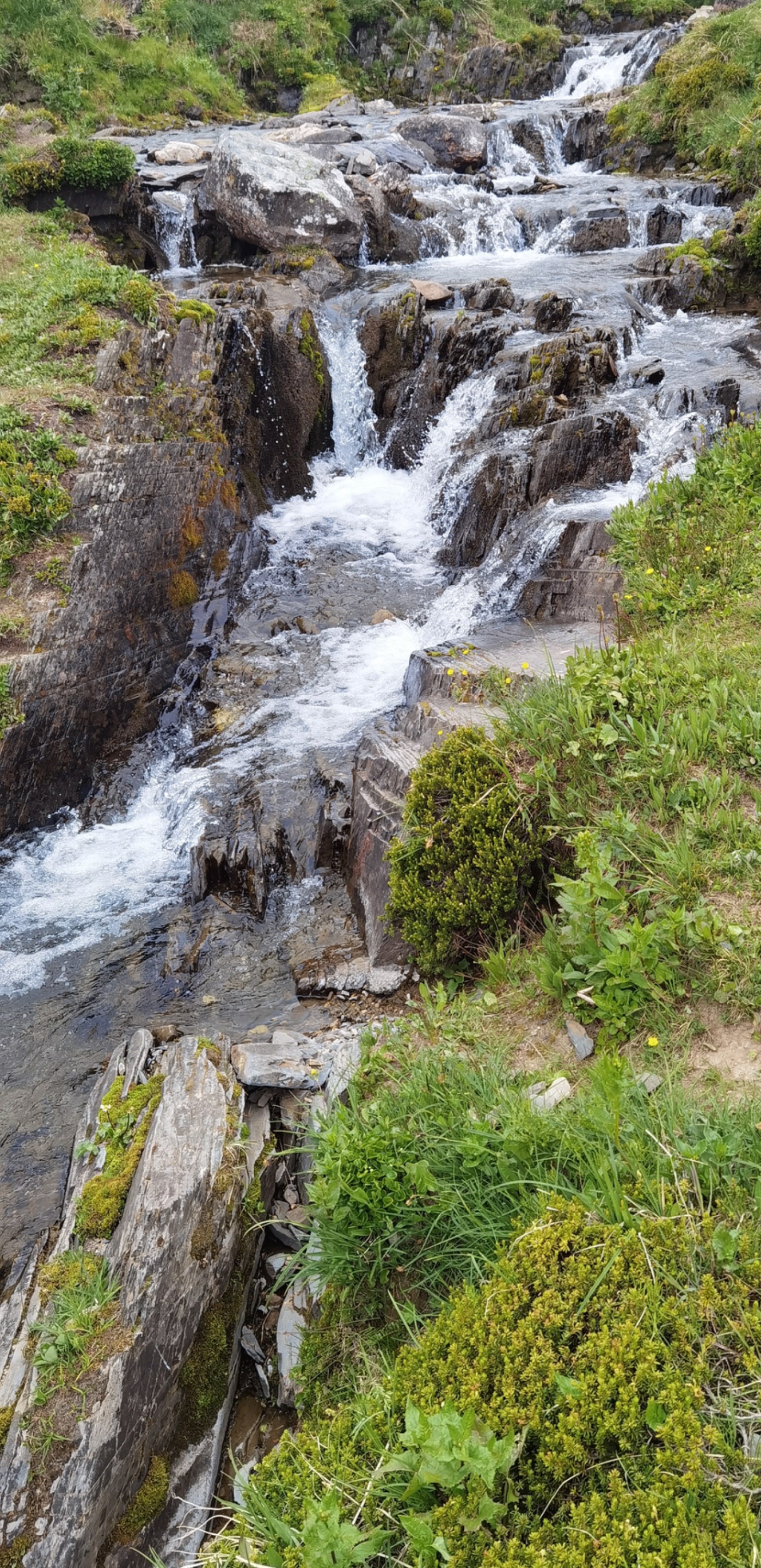 IMG_20230703_162944_Original.jpeg