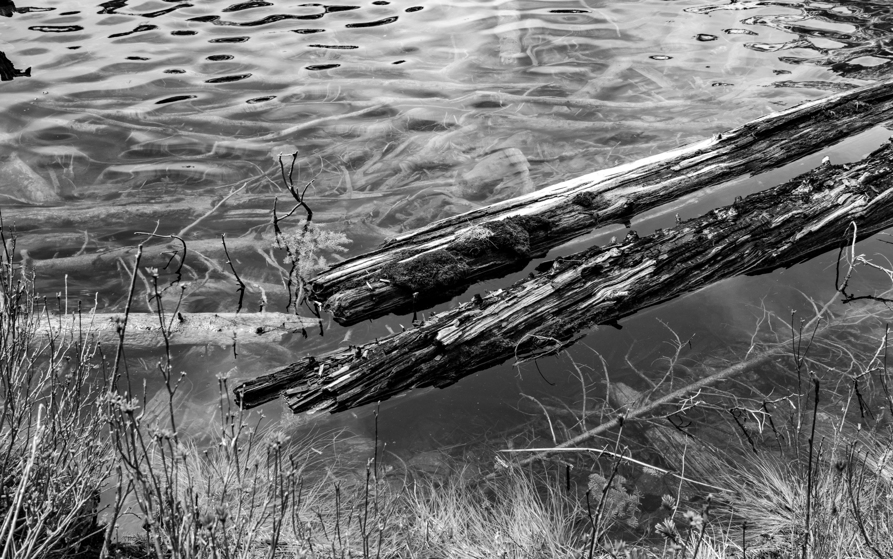 DSC07441.jpeg
