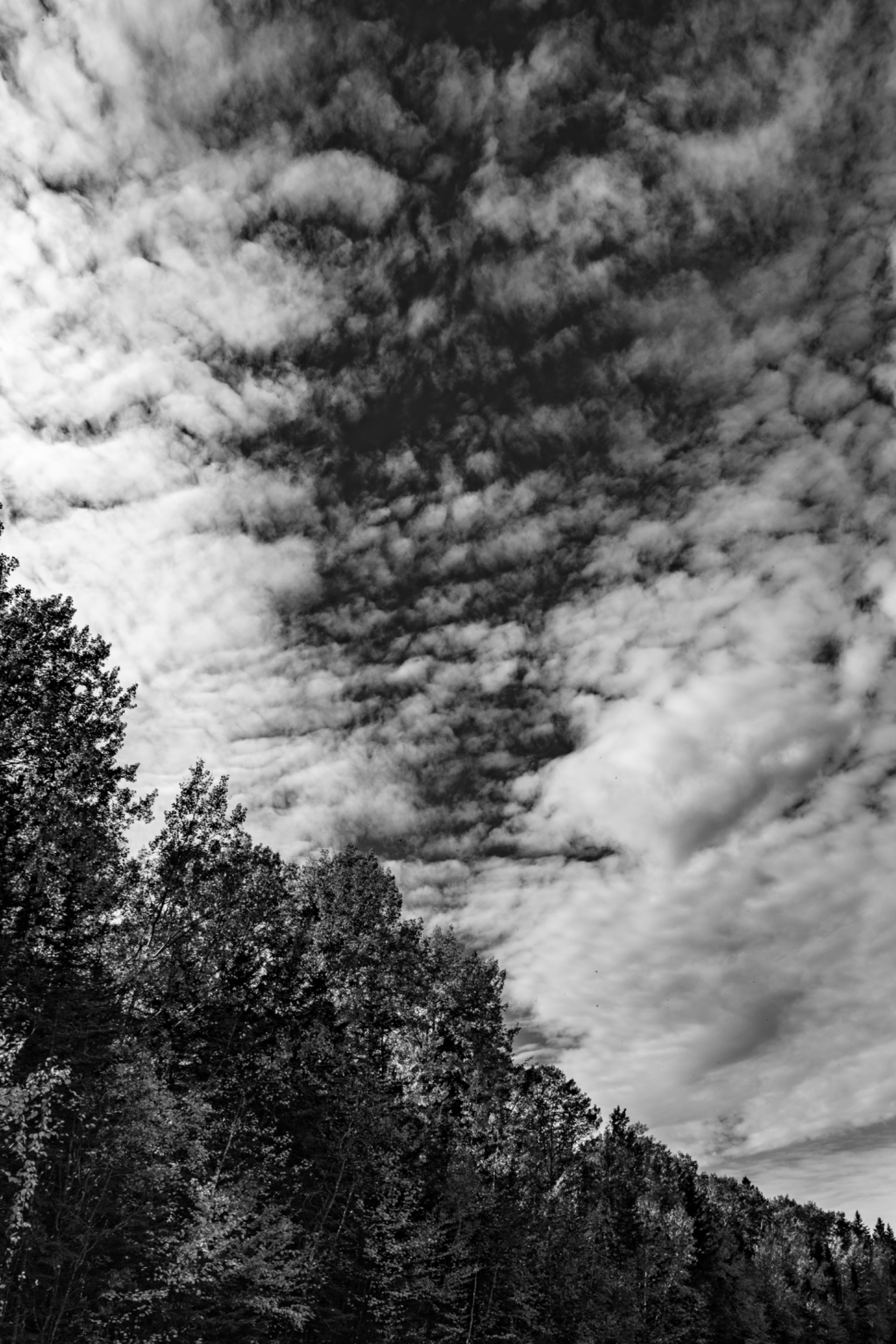 DSC08675.jpeg