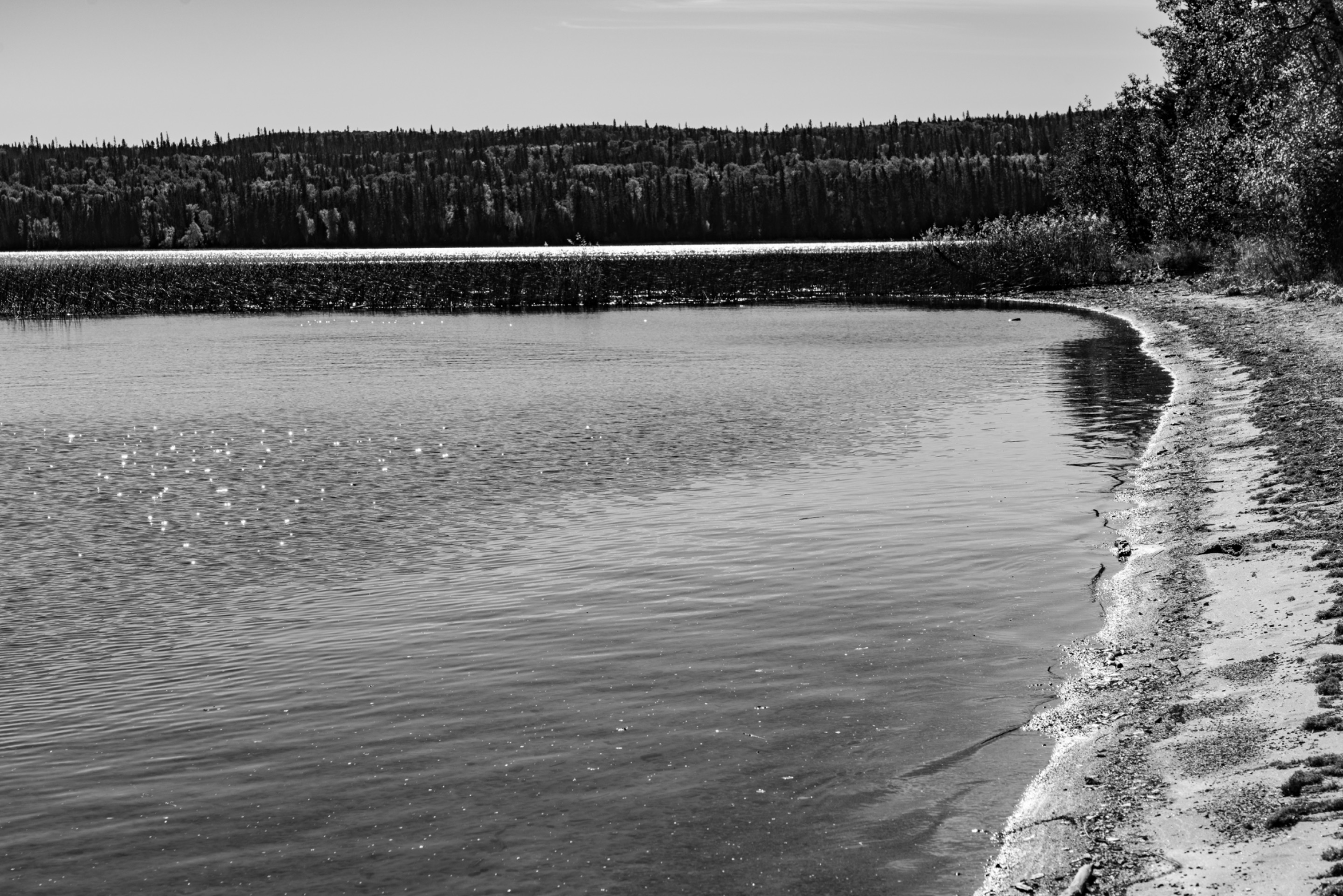 DSC08672.jpeg