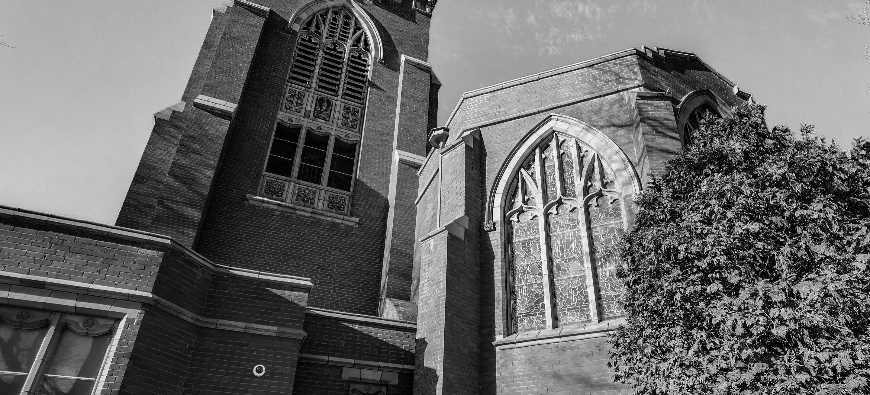 C5429EC6-5281-429A-94F1-D5E40002D78B.jpeg