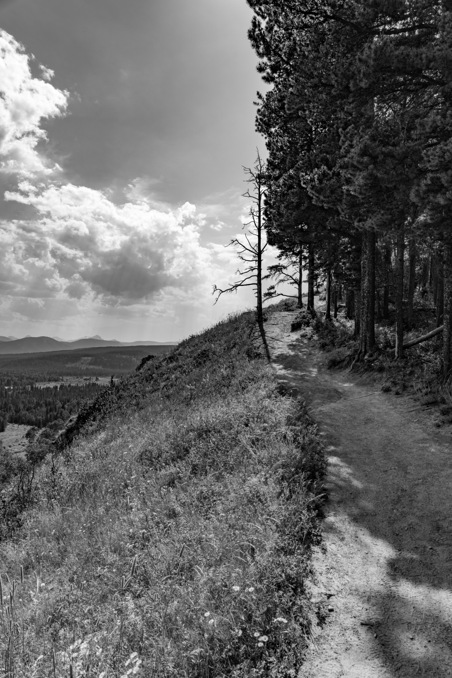 DSC08207.jpeg
