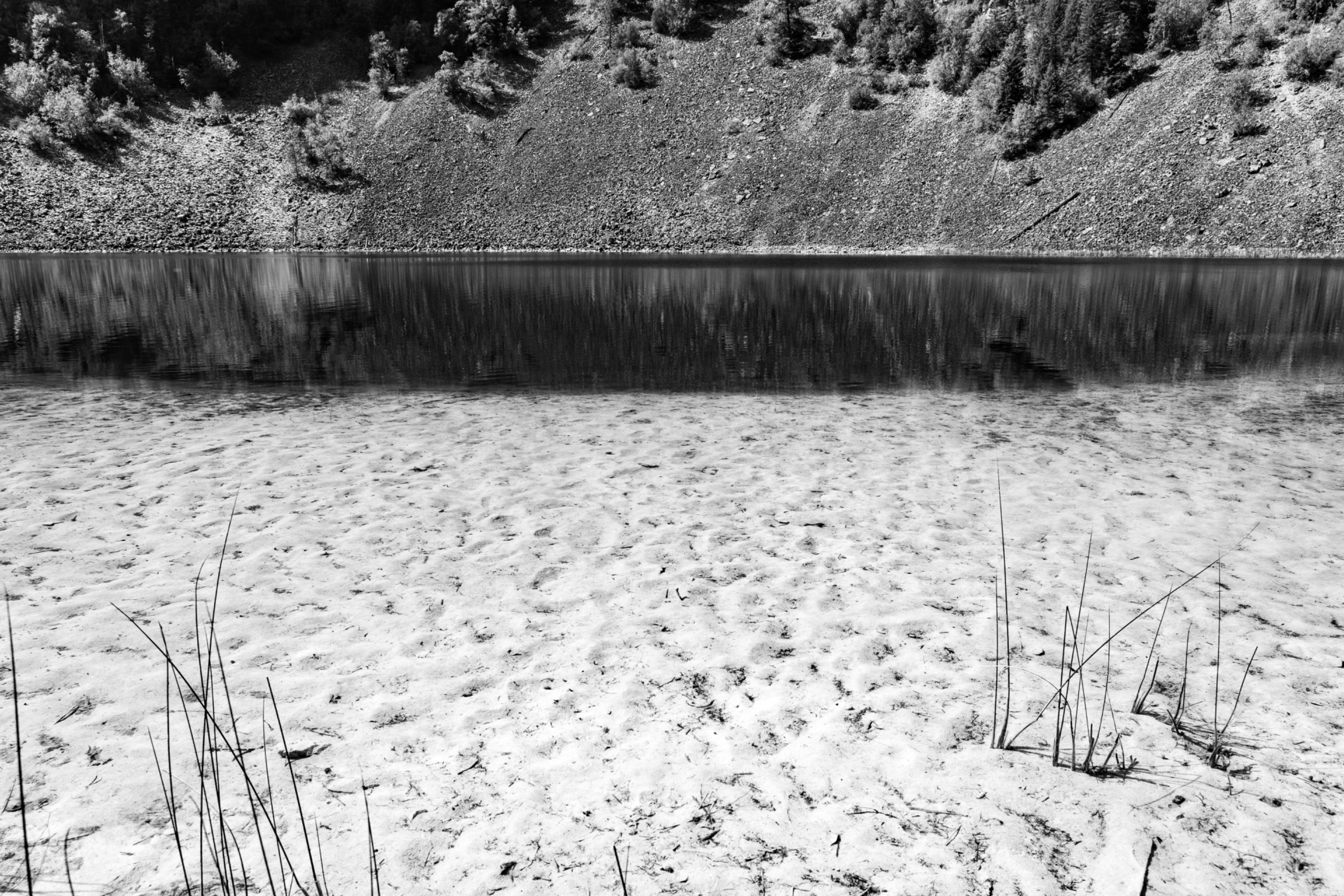 DSC08318.jpeg