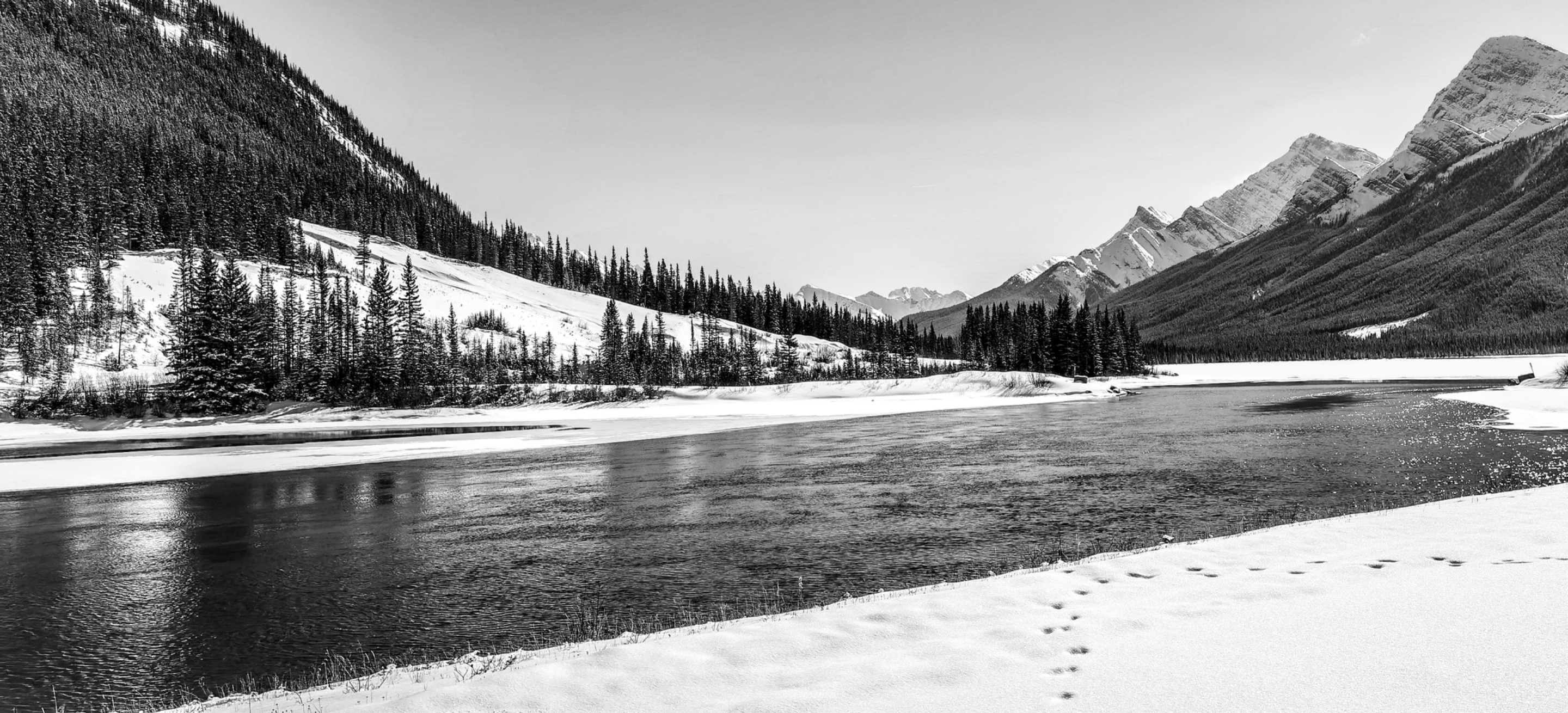 DE857052-2F00-4C8E-B42C-1301A9F74812.jpeg