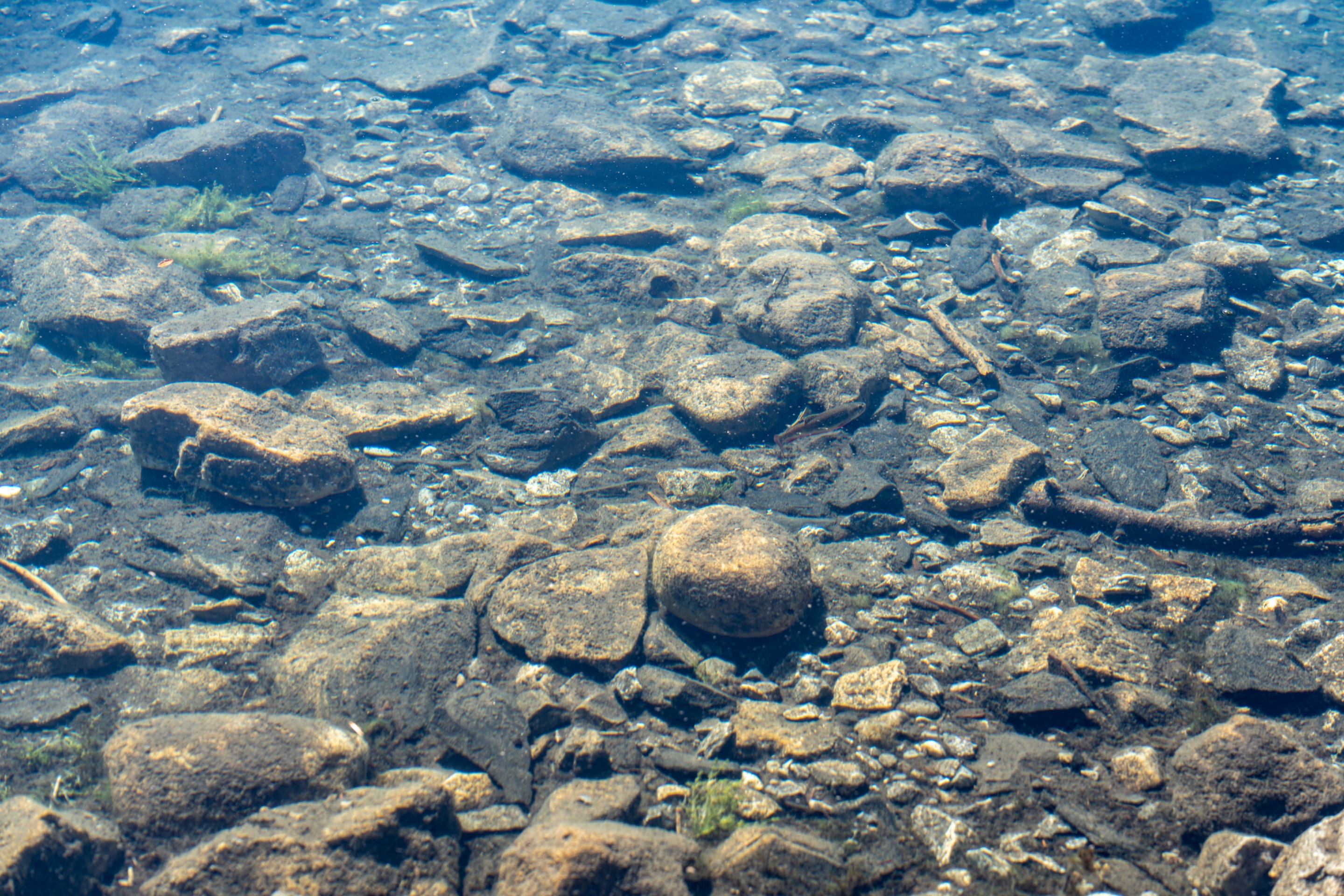 DSC08414.jpeg