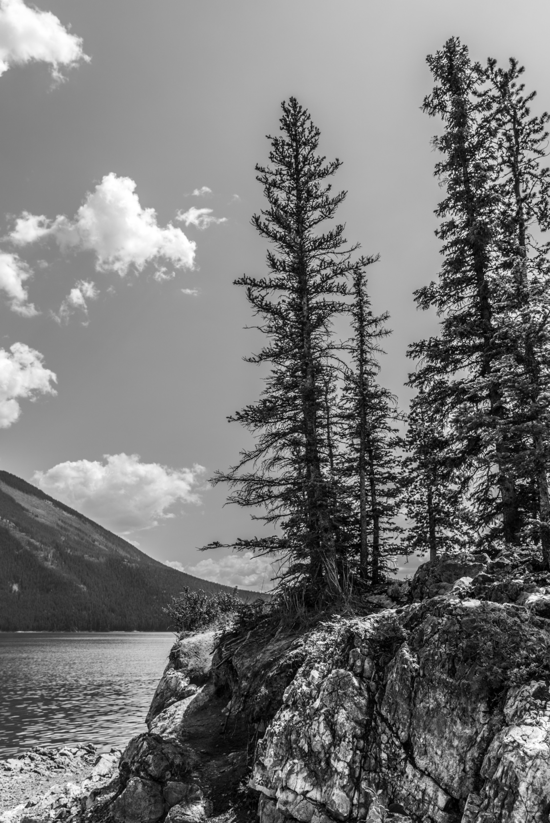 AAAE8205-5DC1-41A7-B451-4EF1024AD8BA.jpeg