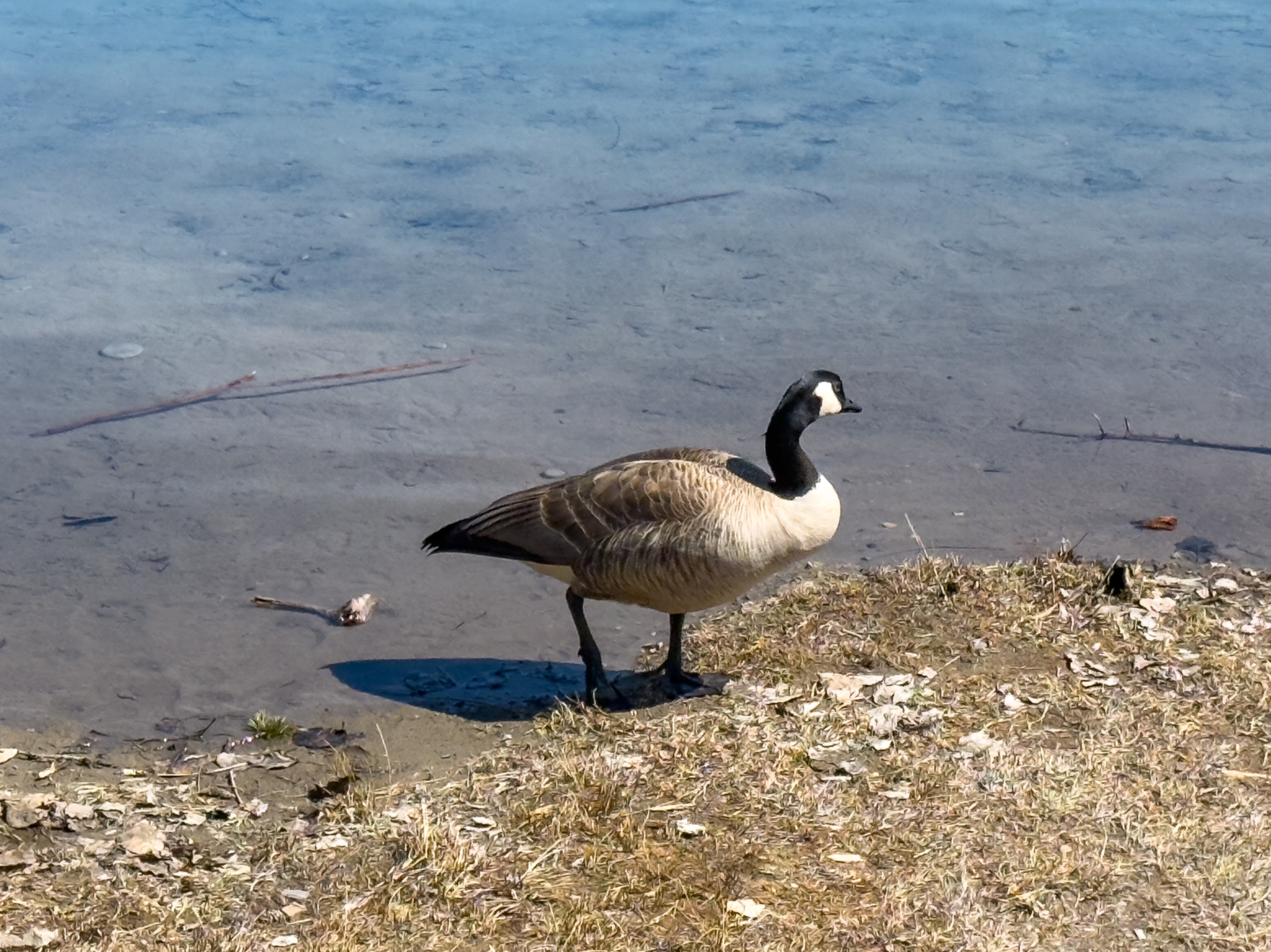 IMG_0299.jpeg