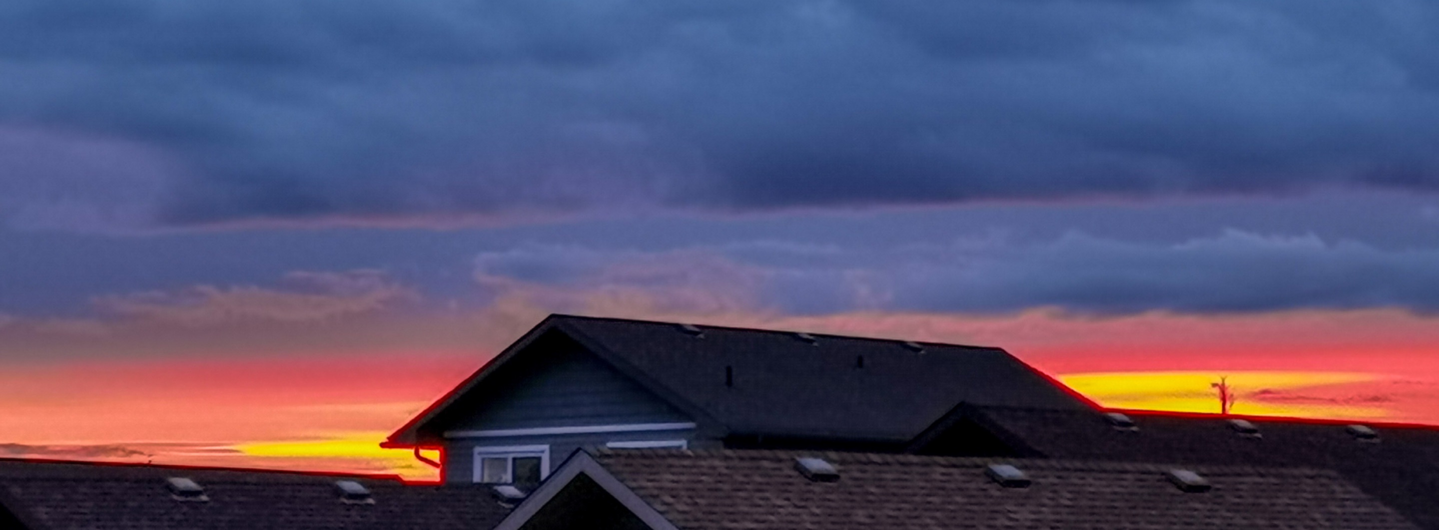 D2651B71-1344-4187-AF61-F8613A343D1A.jpeg